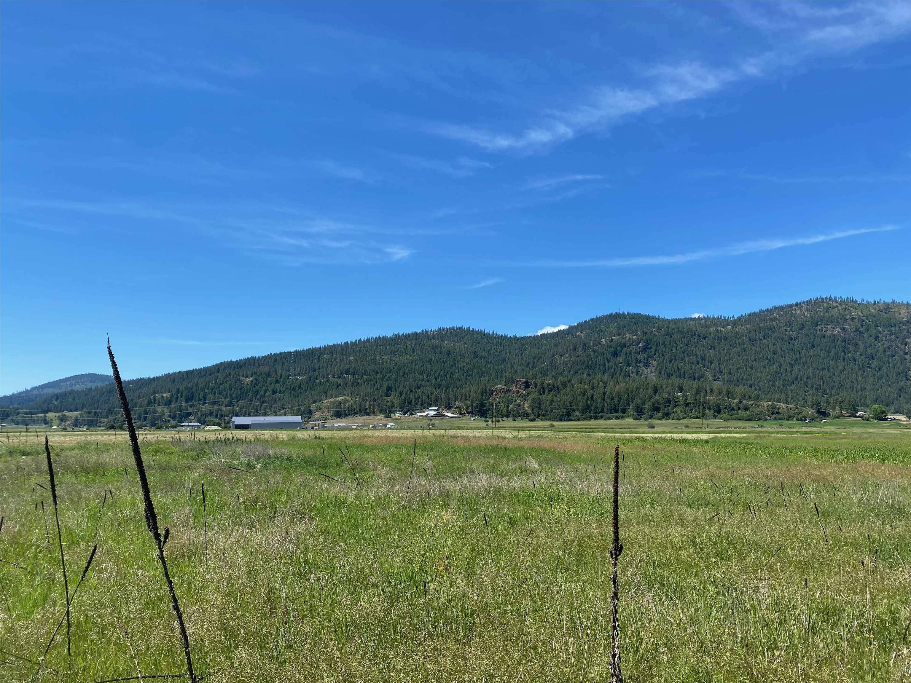 13xx Indian Springs Trl, Chewelah, WA 99019
