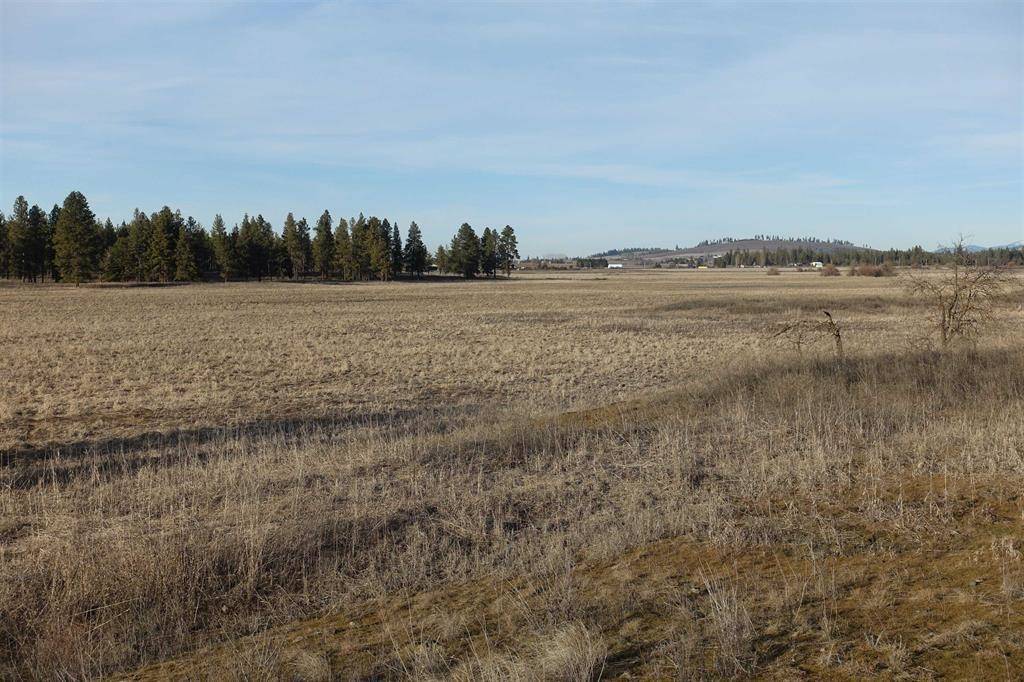 20xxx S Parker Rd, Spangle, WA 99031