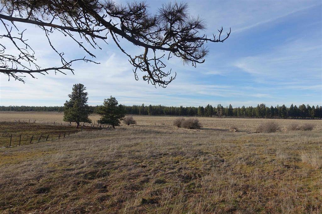20xxx S Parker Rd, Spangle, WA 99031