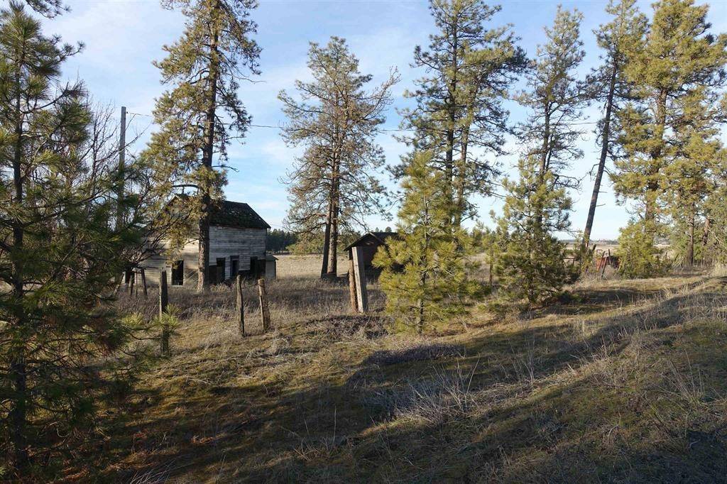 20xxx S Parker Rd, Spangle, WA 99031