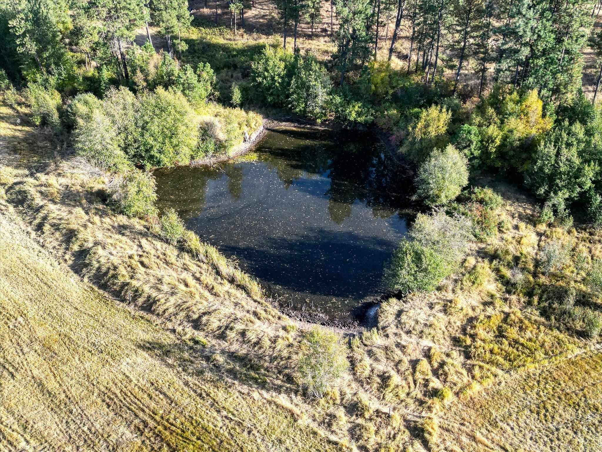 NKA S Ritchey Rd #23679 S Ritchey Rd., Cheney, WA 99004