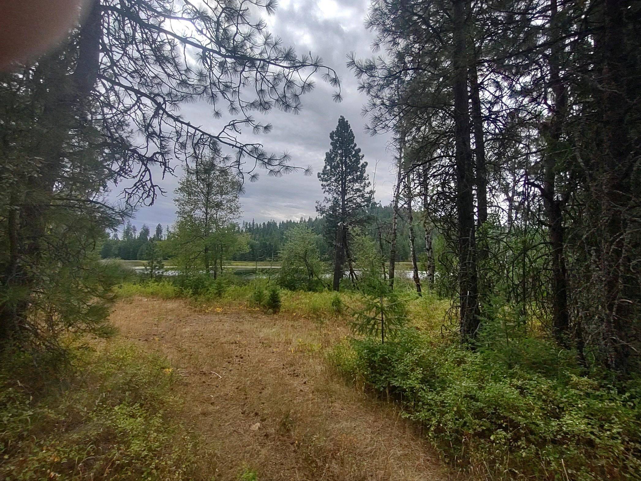 XX Little Sweden Rd #Lot D, Valley, WA 99181