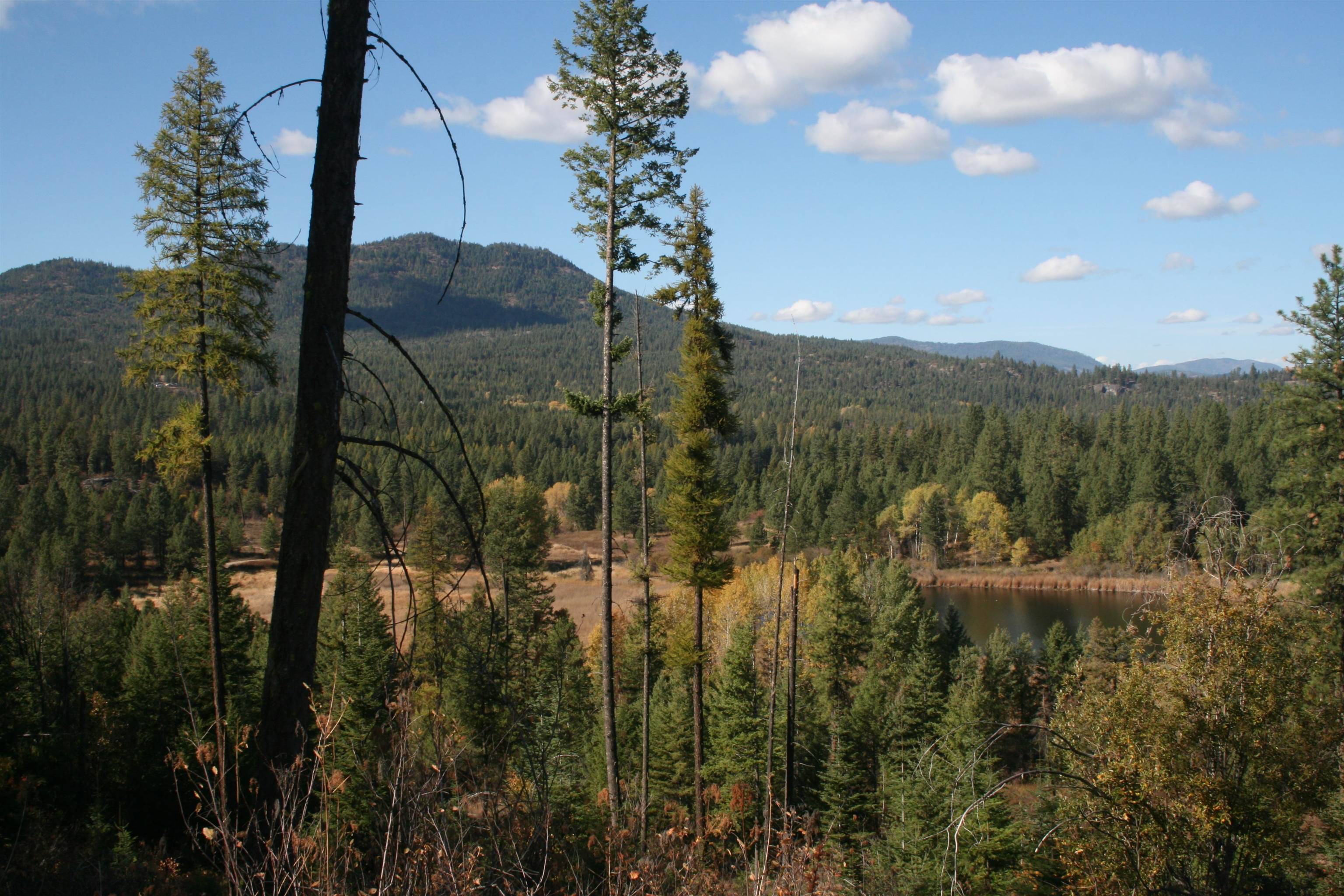3673 Little Sweden Rd #Lot C, Valley, WA 99181