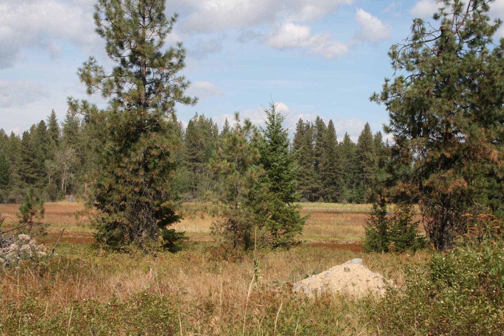 00 Little Sweden Rd #Lot B, Valley, WA 99181
