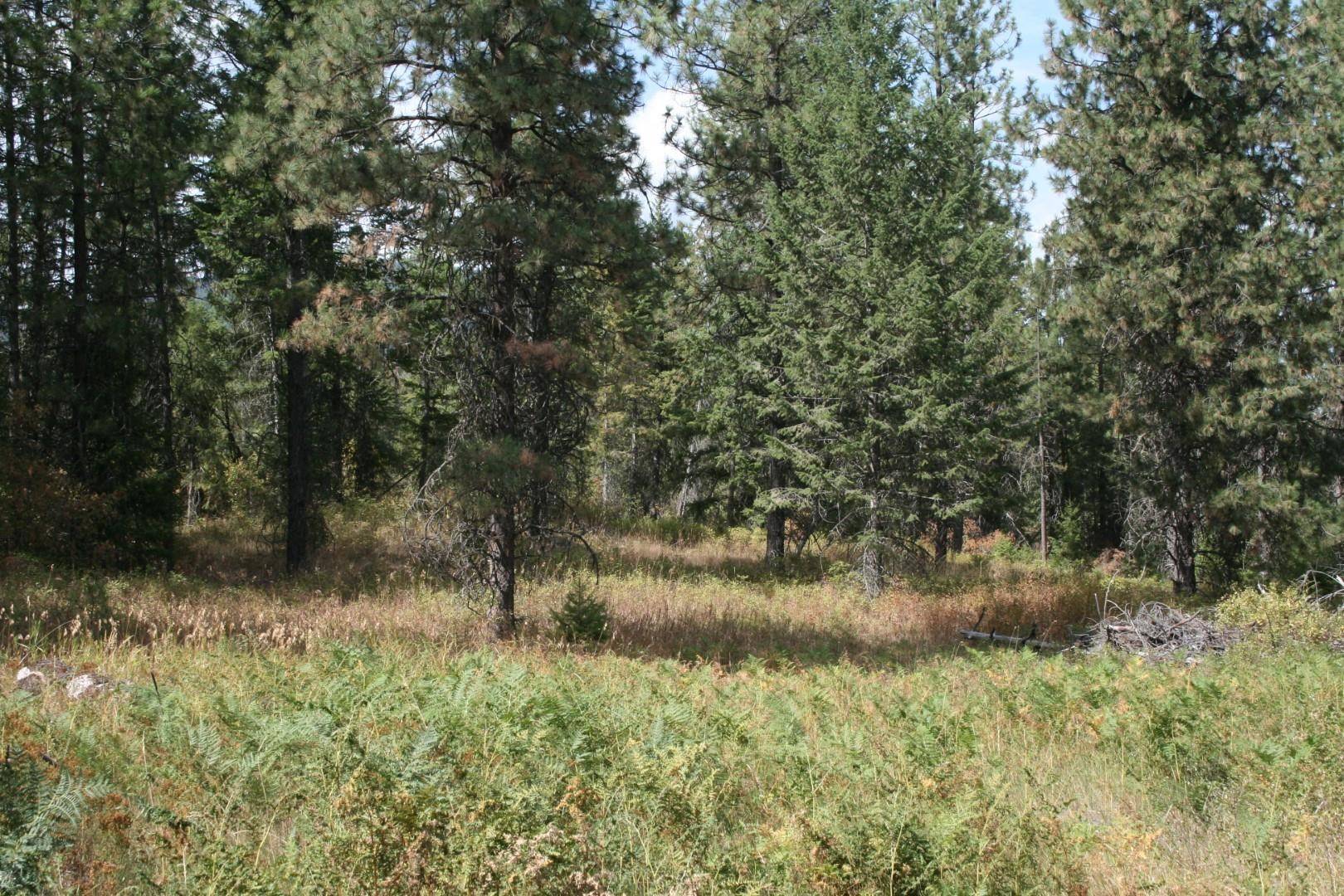 00 Little Sweden Rd #Lot B, Valley, WA 99181
