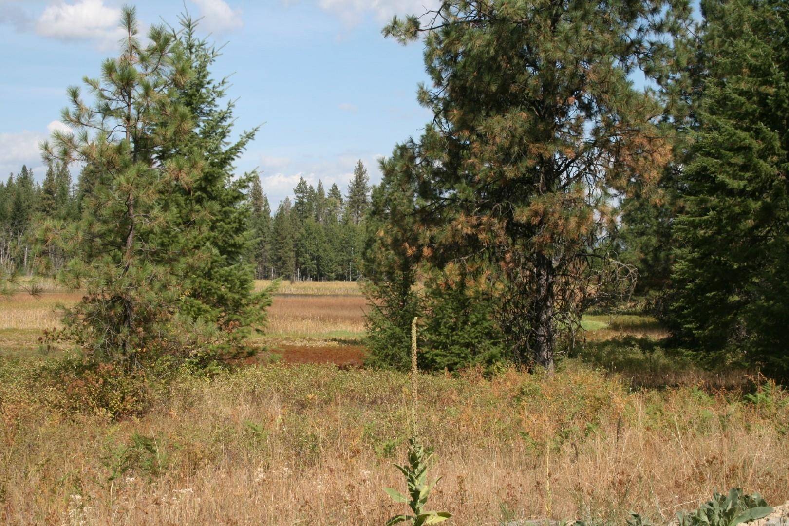 00 Little Sweden Rd #Lot B, Valley, WA 99181