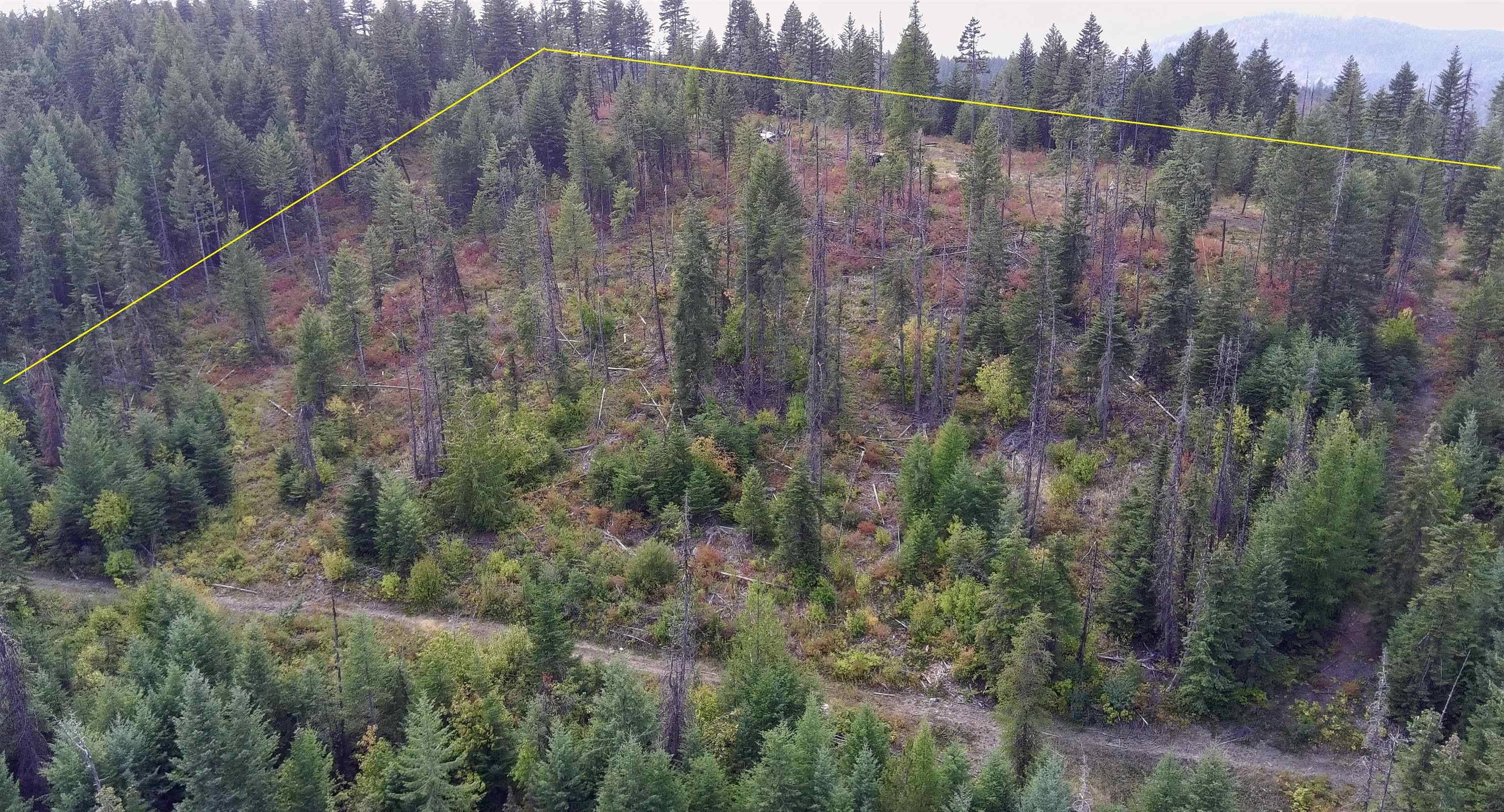2784 Red Tail WAY, Colville, WA 99114