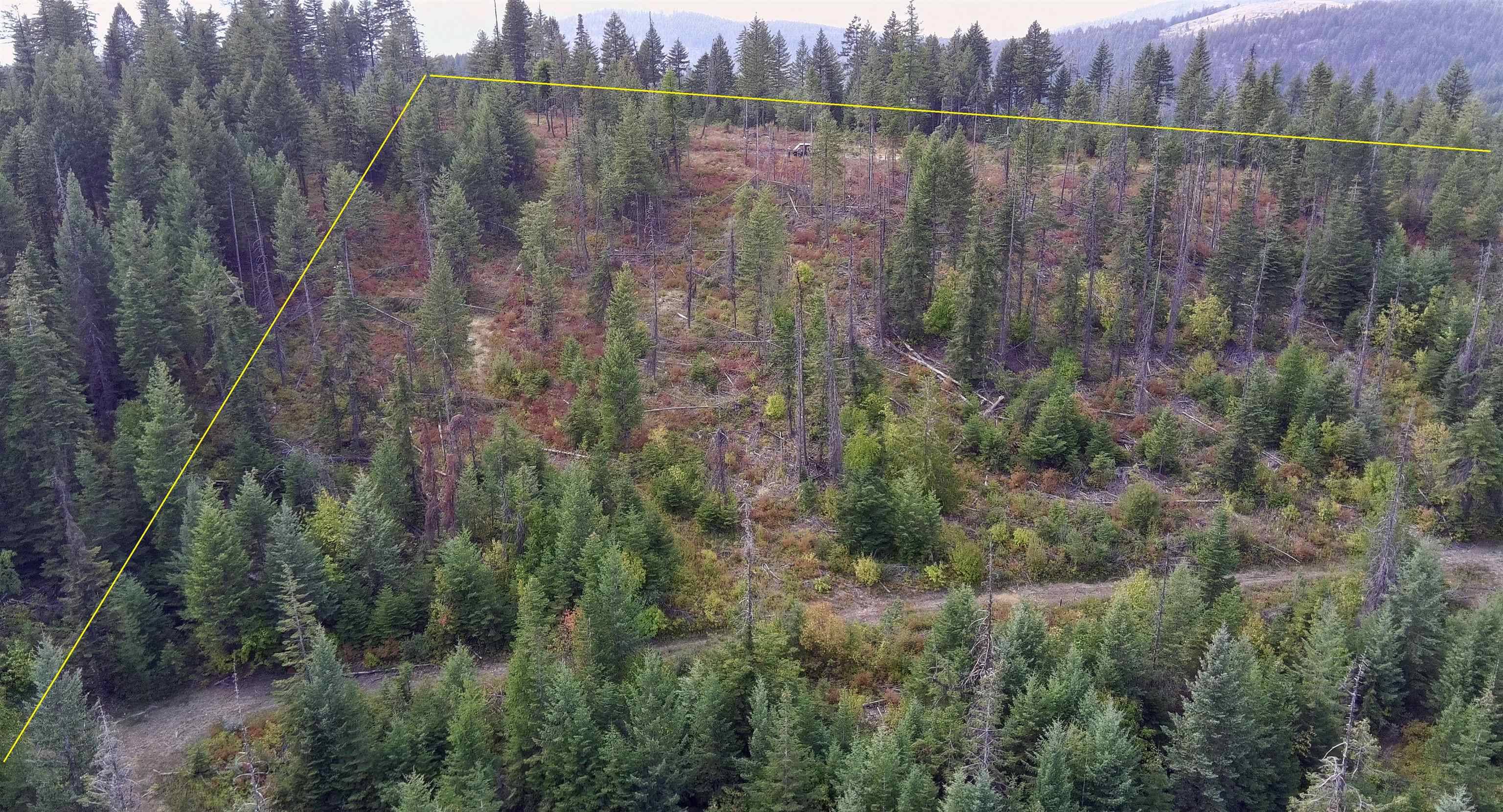 2784 Red Tail WAY, Colville, WA 99114