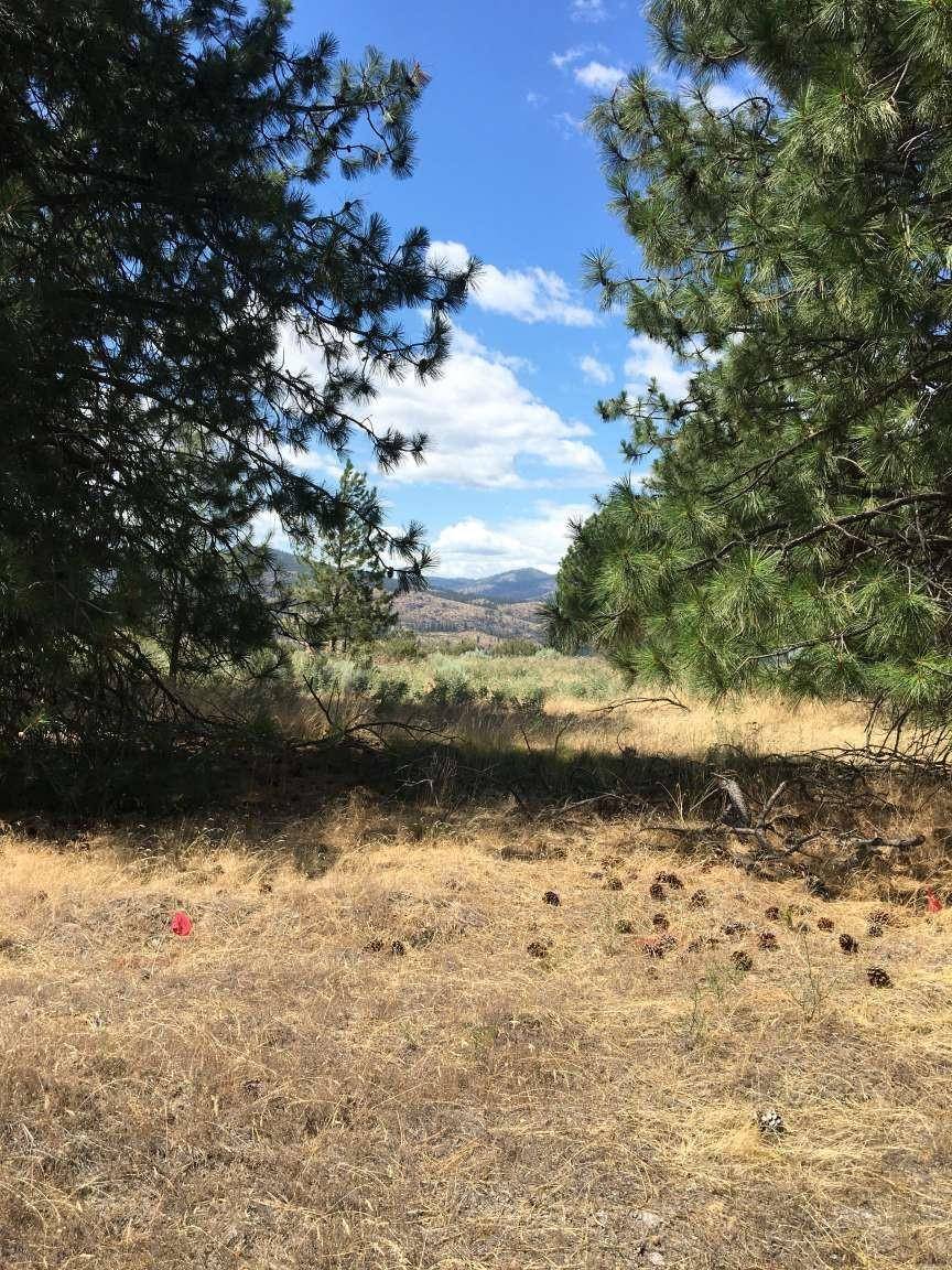 42805 Antler Dr, Deer Meadows, WA 99122