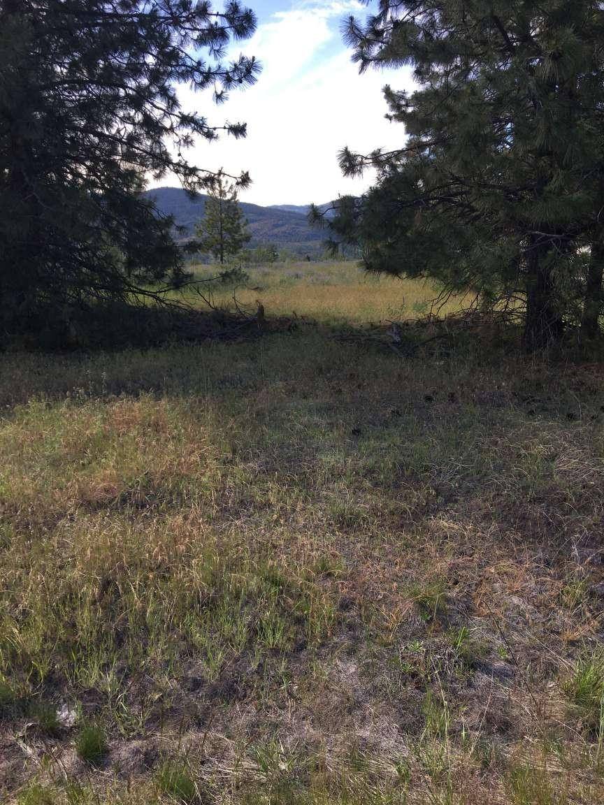 42805 Antler Dr, Deer Meadows, WA 99122