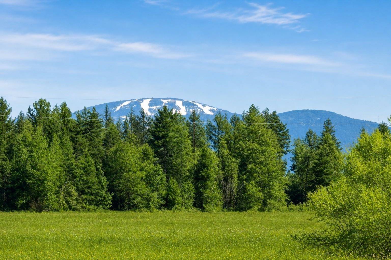 413XX N Short Rd, Deer Park, WA 99006