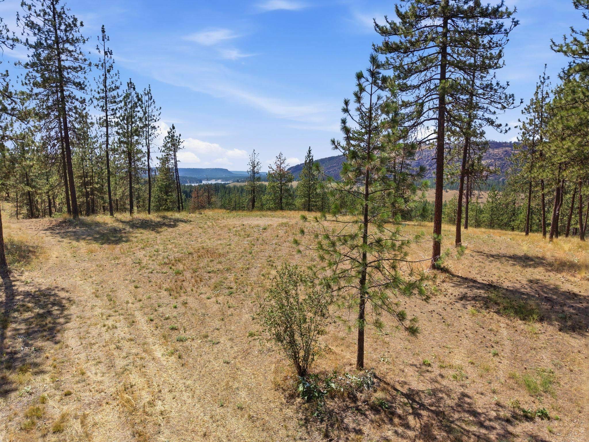 21609 W South Bank Rd, Nine Mile Falls, WA 99026