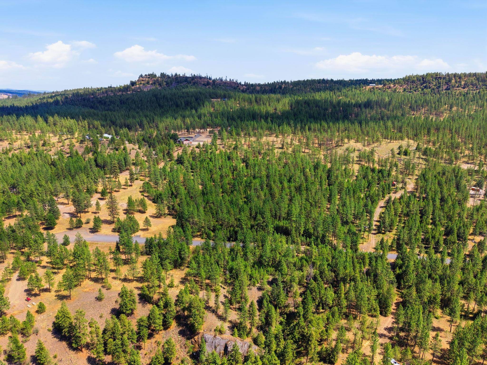 21517 W South Bank Rd, Nine Mile Falls, WA 99026