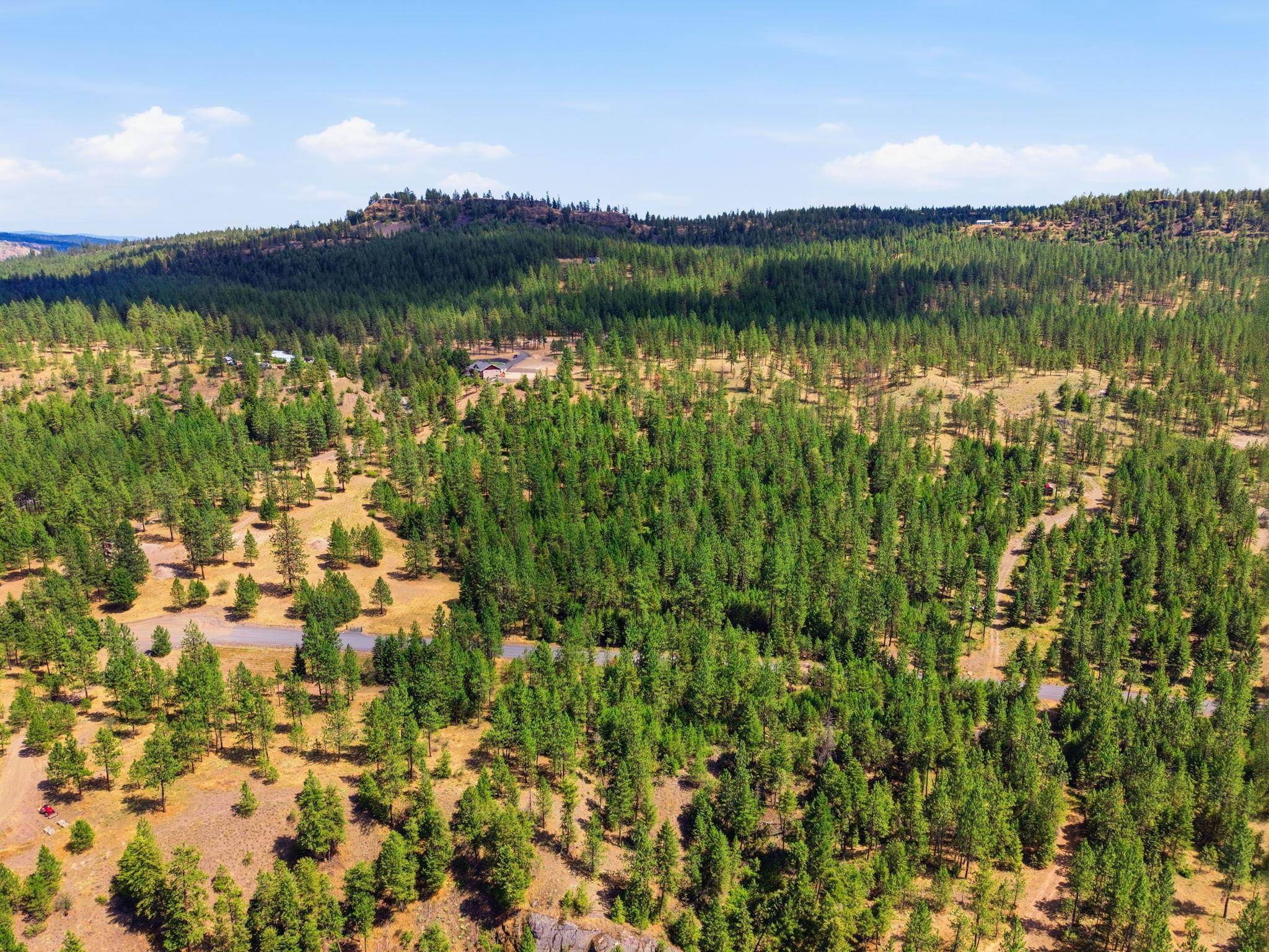 21517 W South Bank Rd, Nine Mile Falls, WA 99026