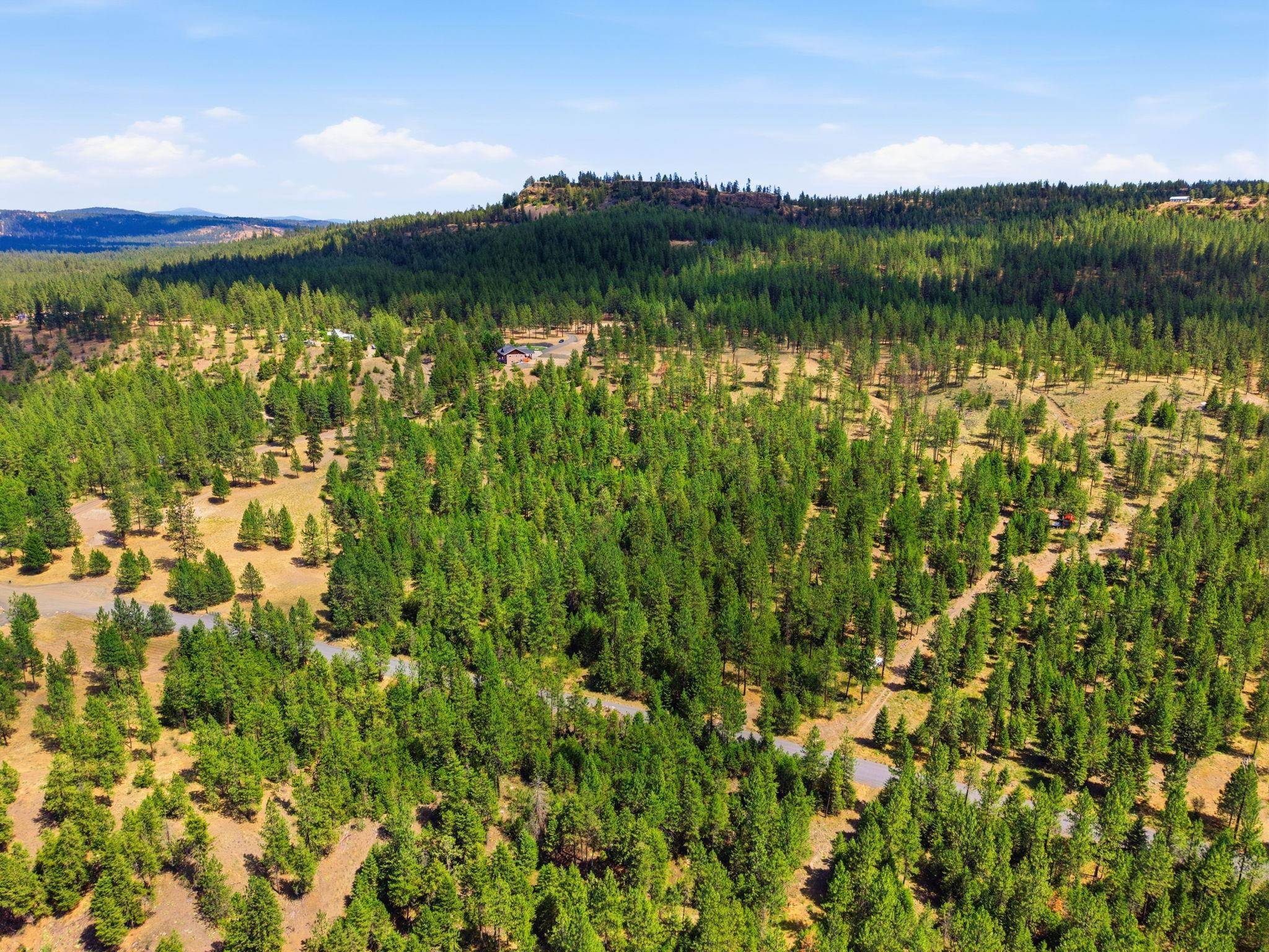 21517 W South Bank Rd, Nine Mile Falls, WA 99026