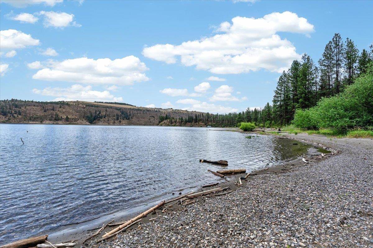 42049 Porcupine Bay N Rd, Davenport, WA 99122