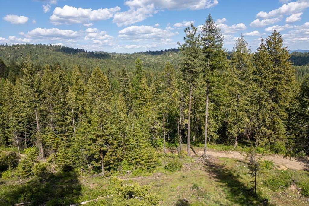 270 Lupine Ln, Newport, WA 99156