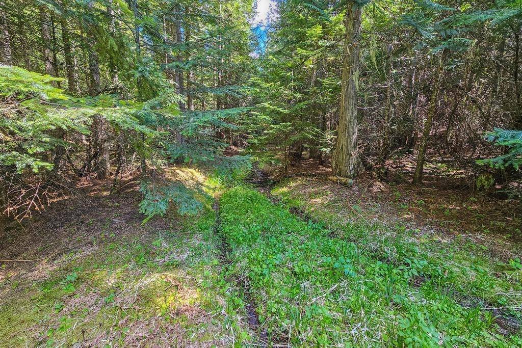 270 Lupine Ln, Newport, WA 99156