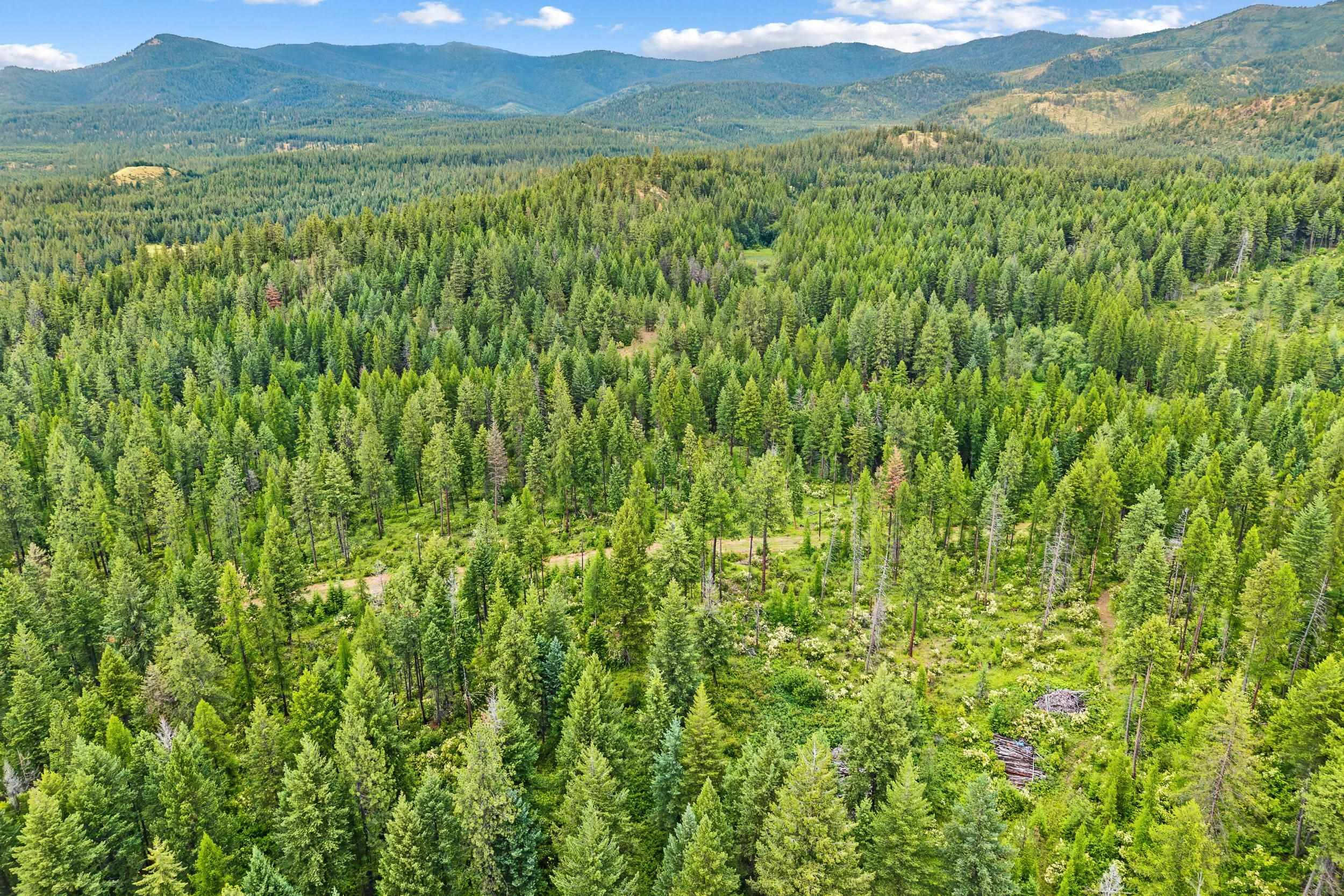 432X Bussard Lake Rd, Loon Lake, WA 99148