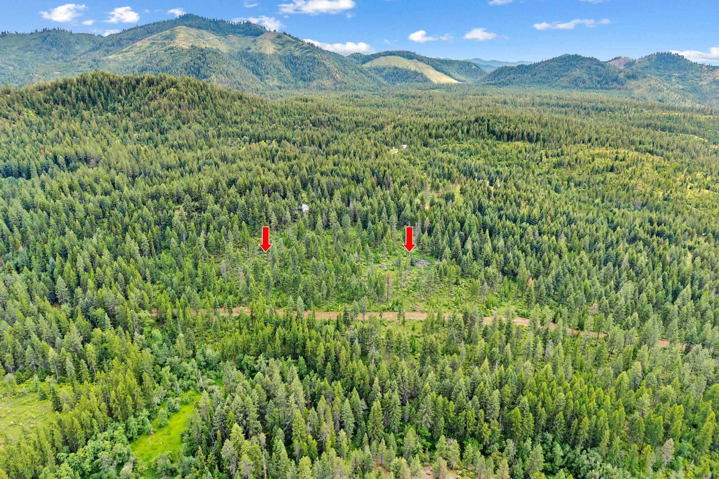 432X Bussard Lake Rd, Loon Lake, WA 99148