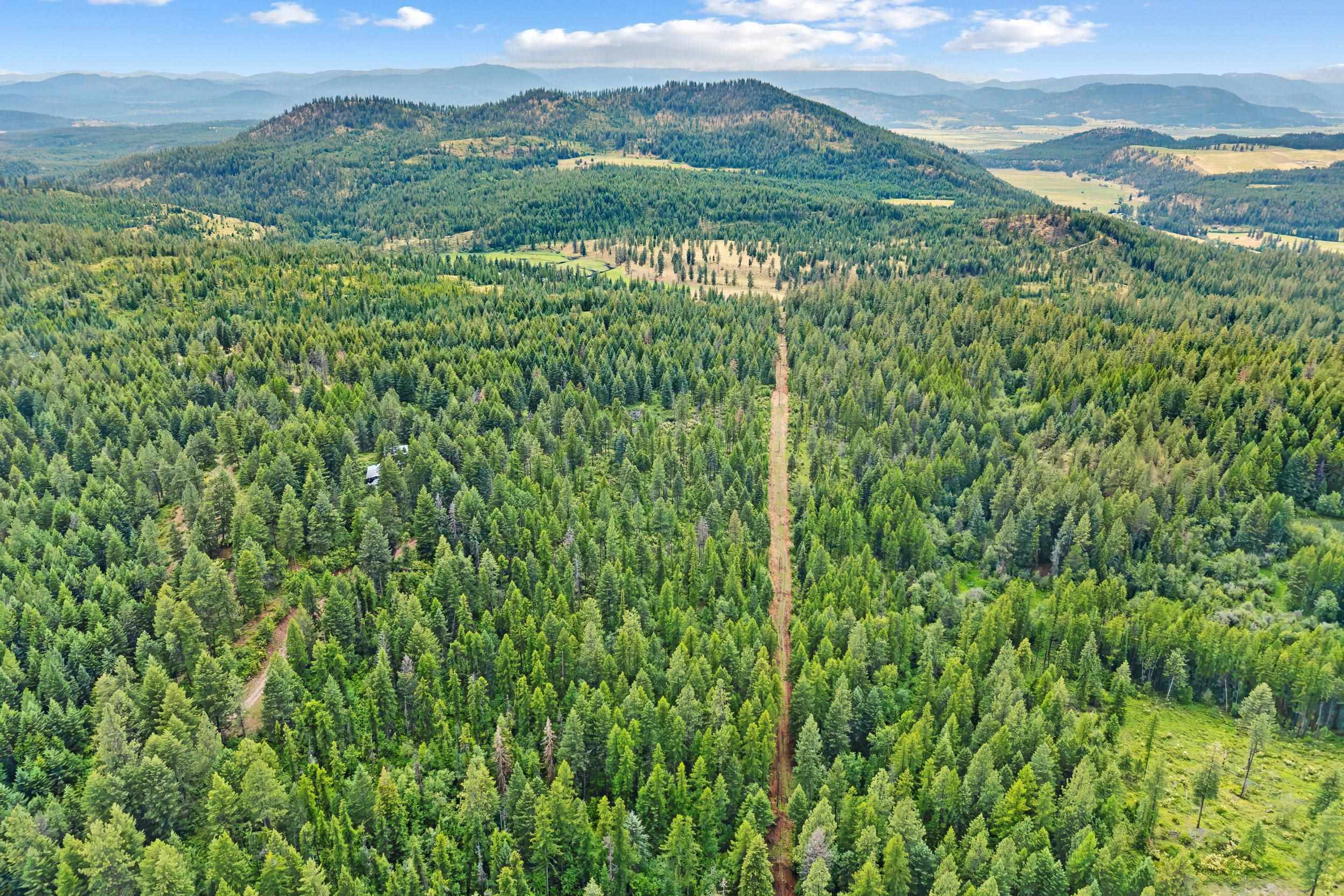 432X Bussard Lake Rd, Loon Lake, WA 99148