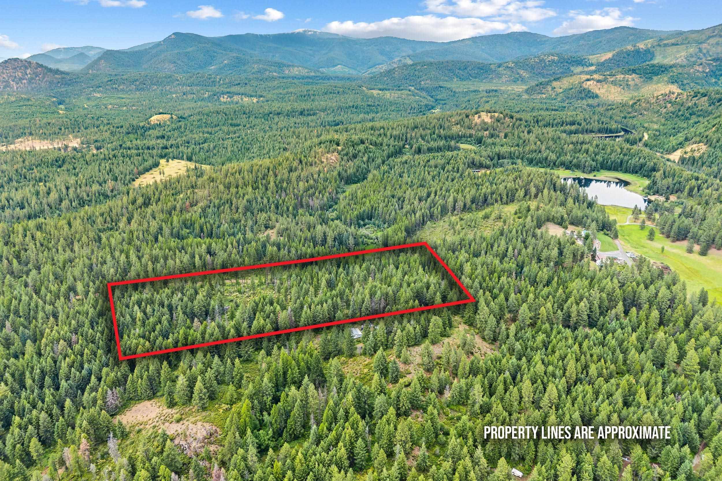 432X Bussard Lake Rd, Loon Lake, WA 99148