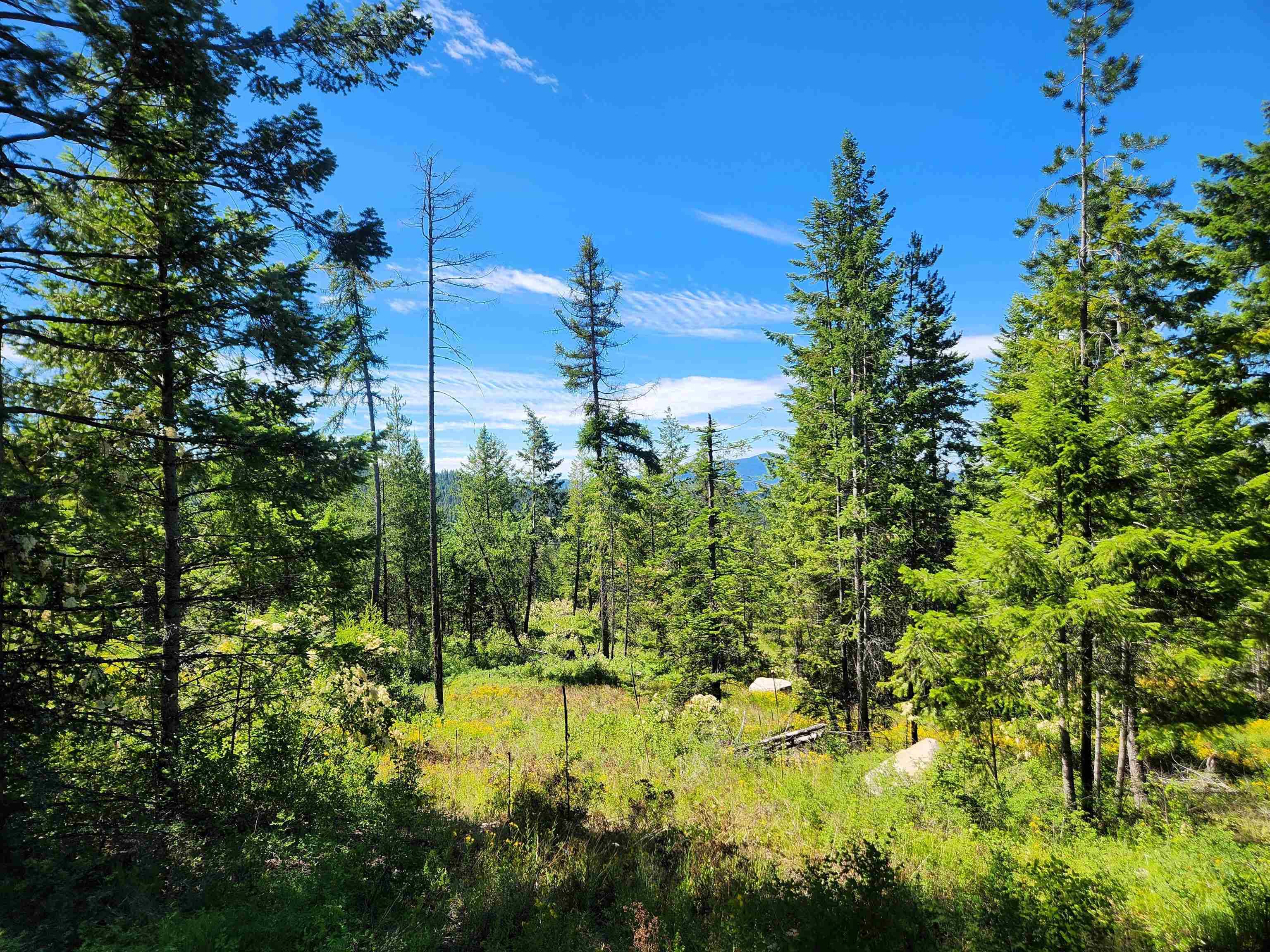 1492 Portrait WAY, Colville, WA 99114-9999