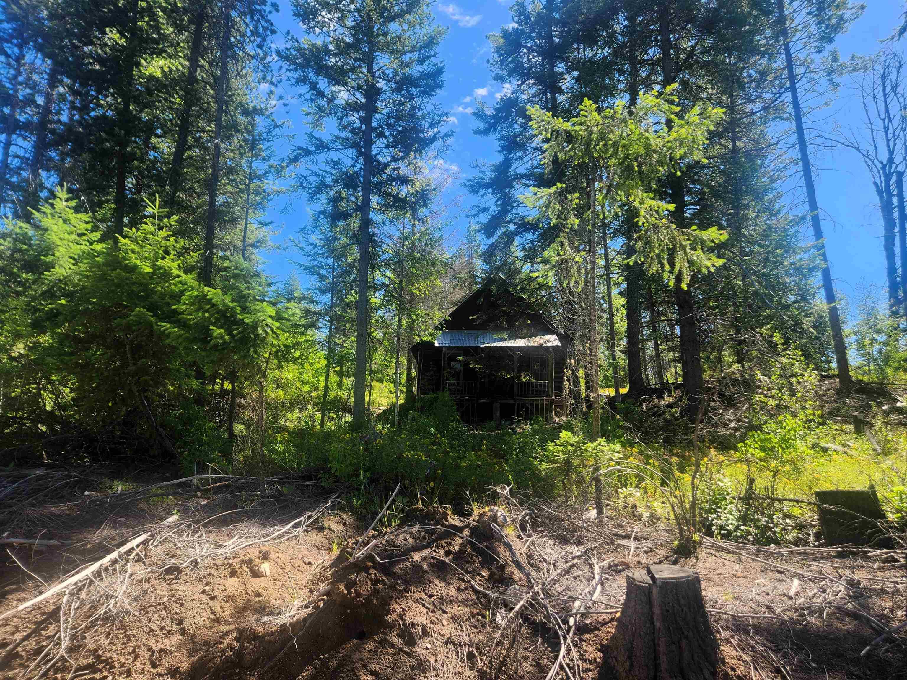 1492 Portrait WAY, Colville, WA 99114-9999