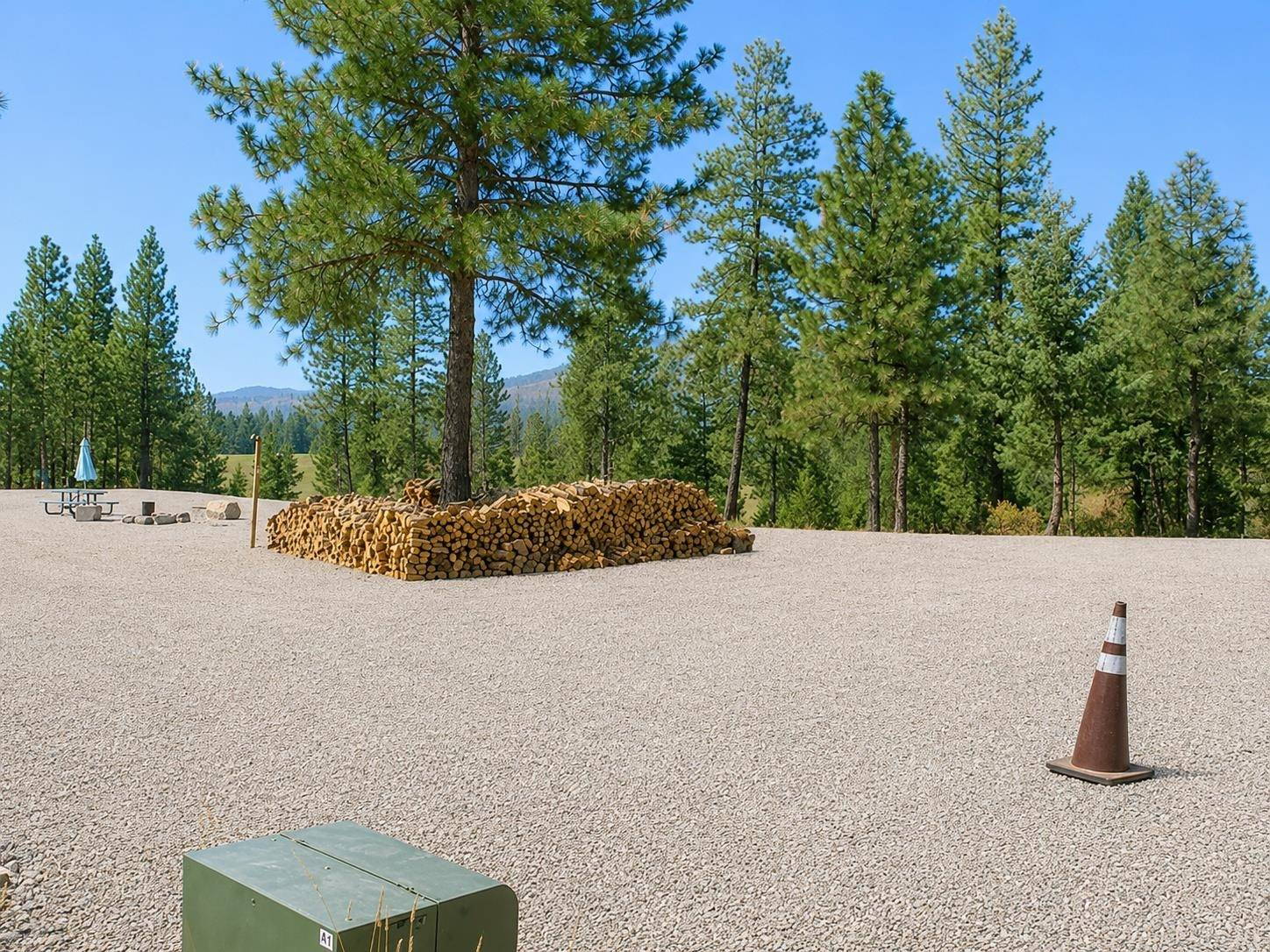 5203 Olinger Rd, Springdale, WA 99173