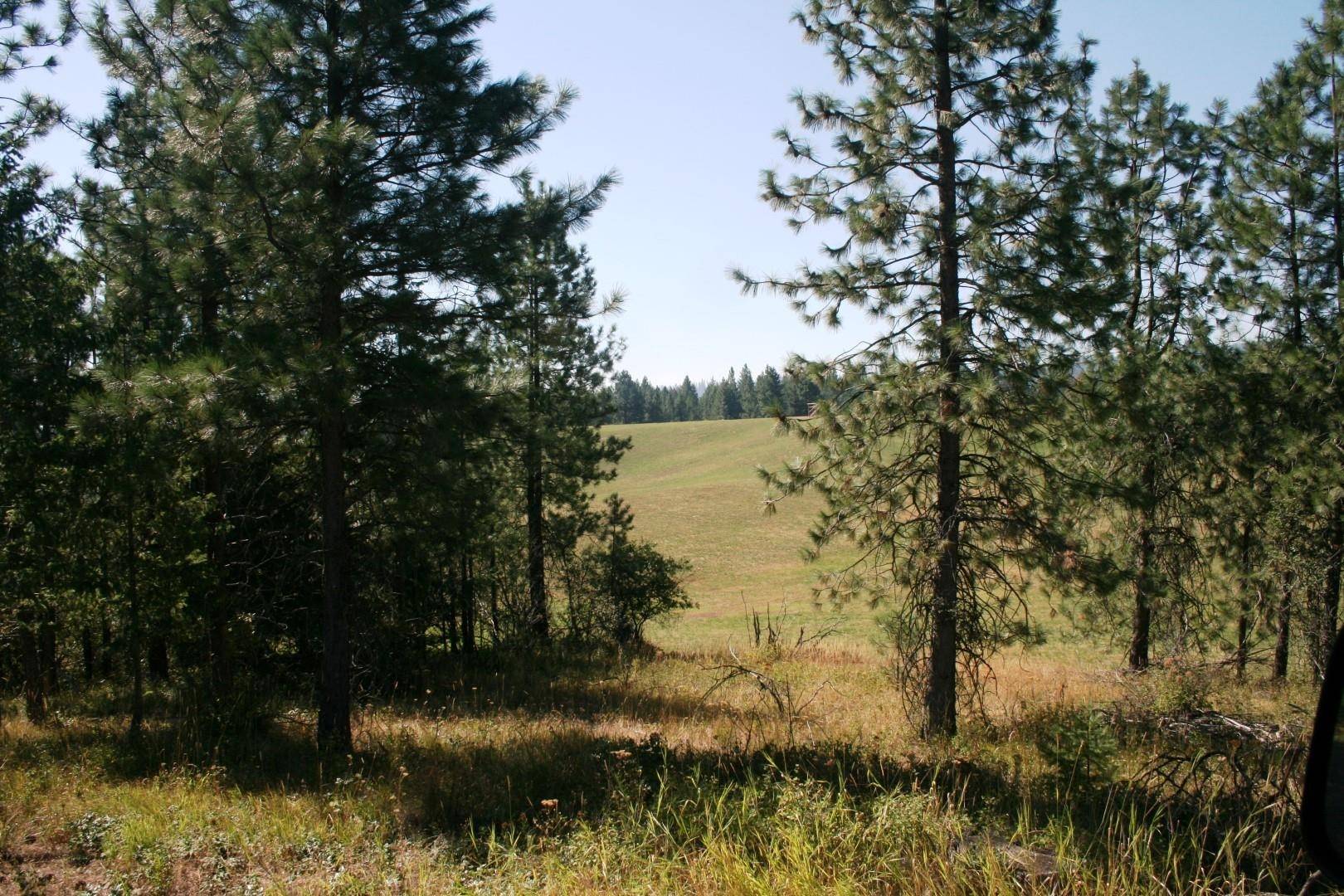 5203 Olinger Rd, Springdale, WA 99173