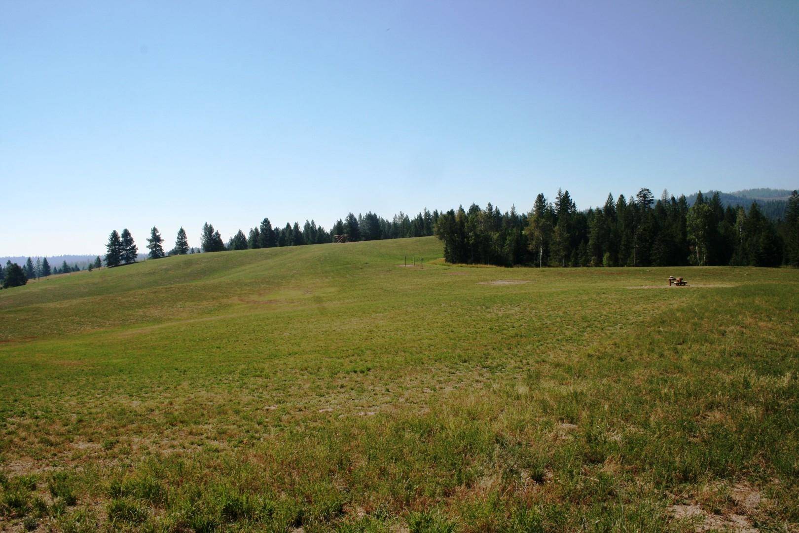 5203 Olinger Rd, Springdale, WA 99173