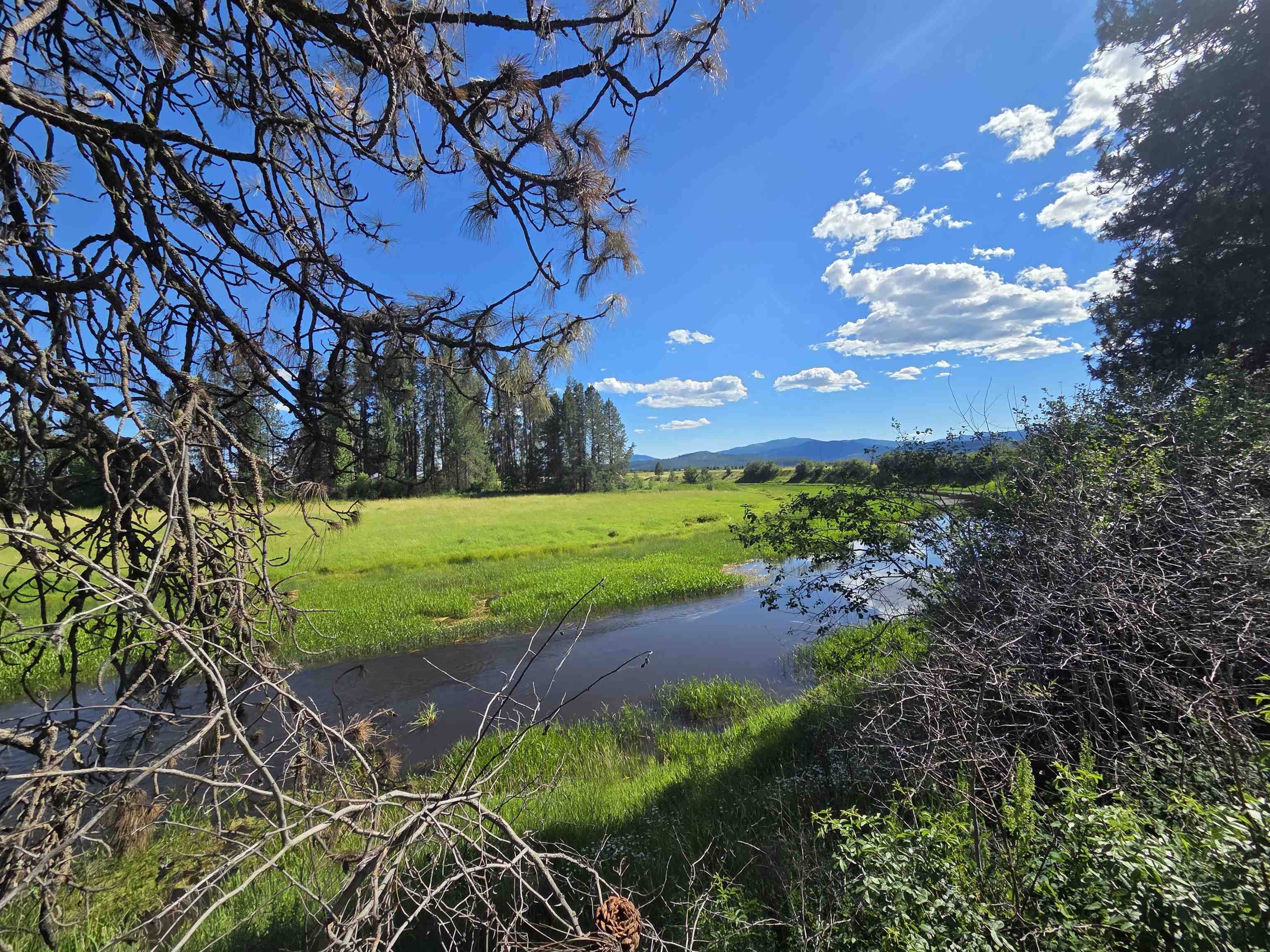 123 Cusick Meadows Rd, Cusick, WA 99119