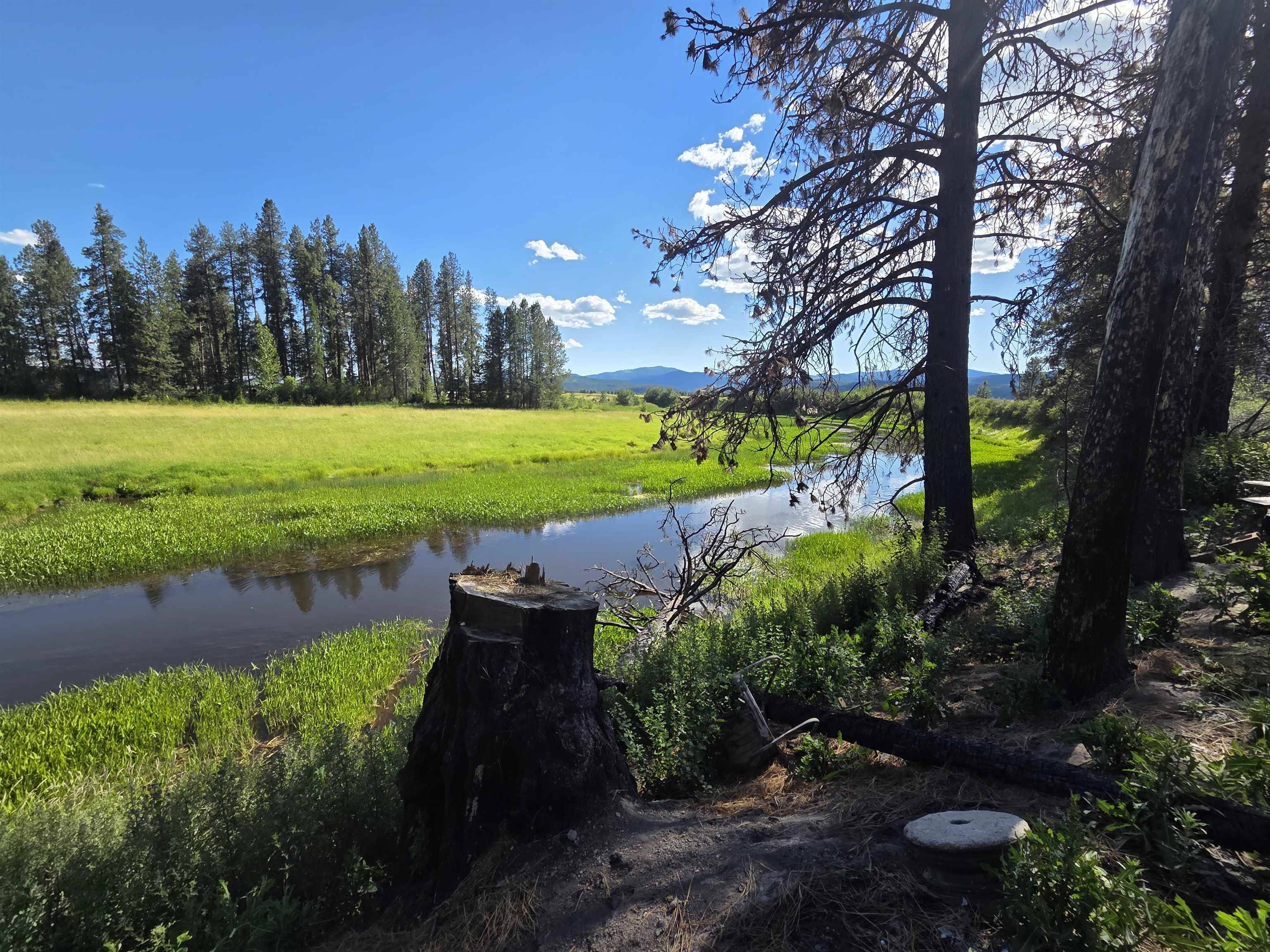 123 Cusick Meadows Rd, Cusick, WA 99119