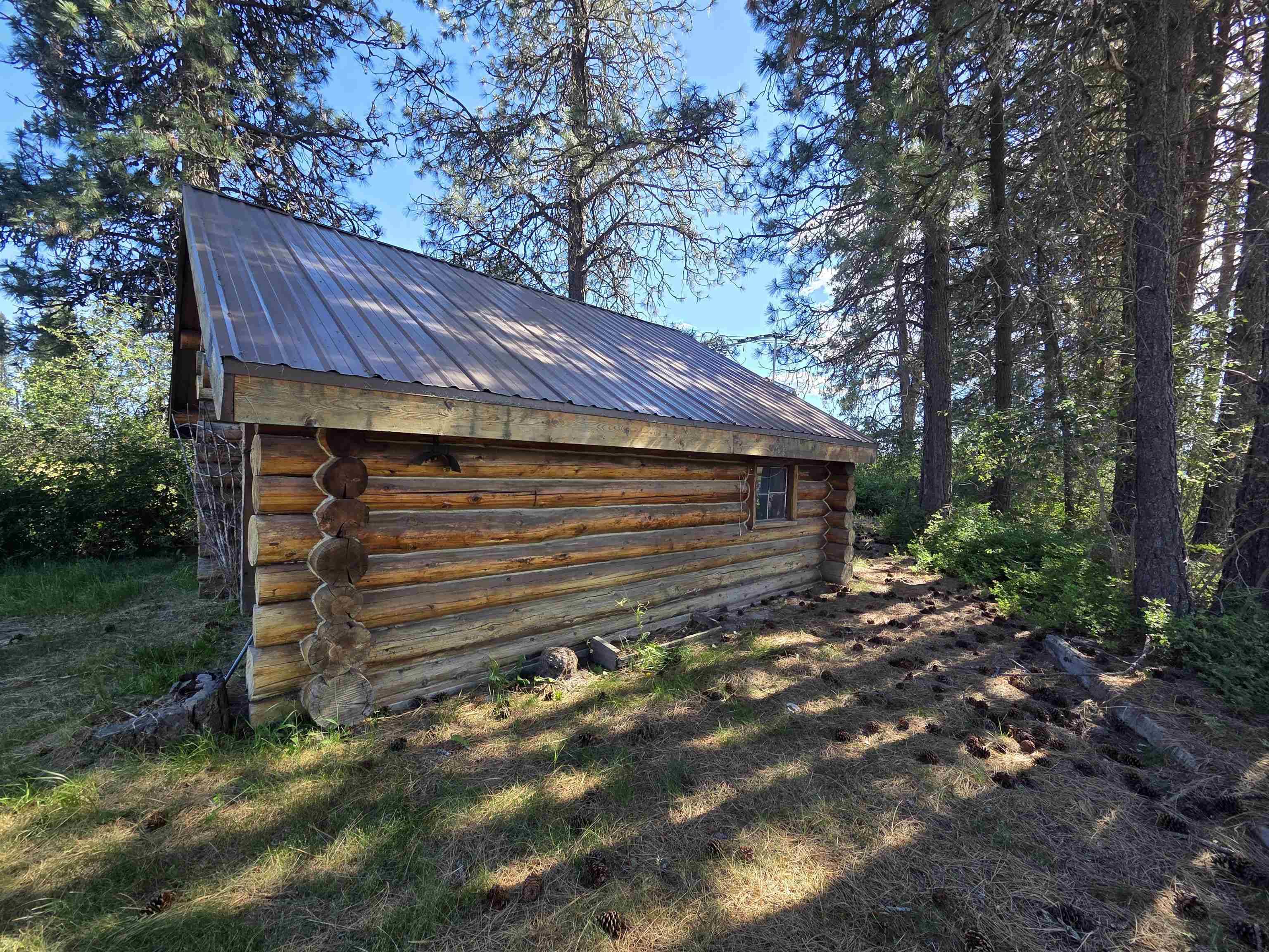 123 Cusick Meadows Rd, Cusick, WA 99119