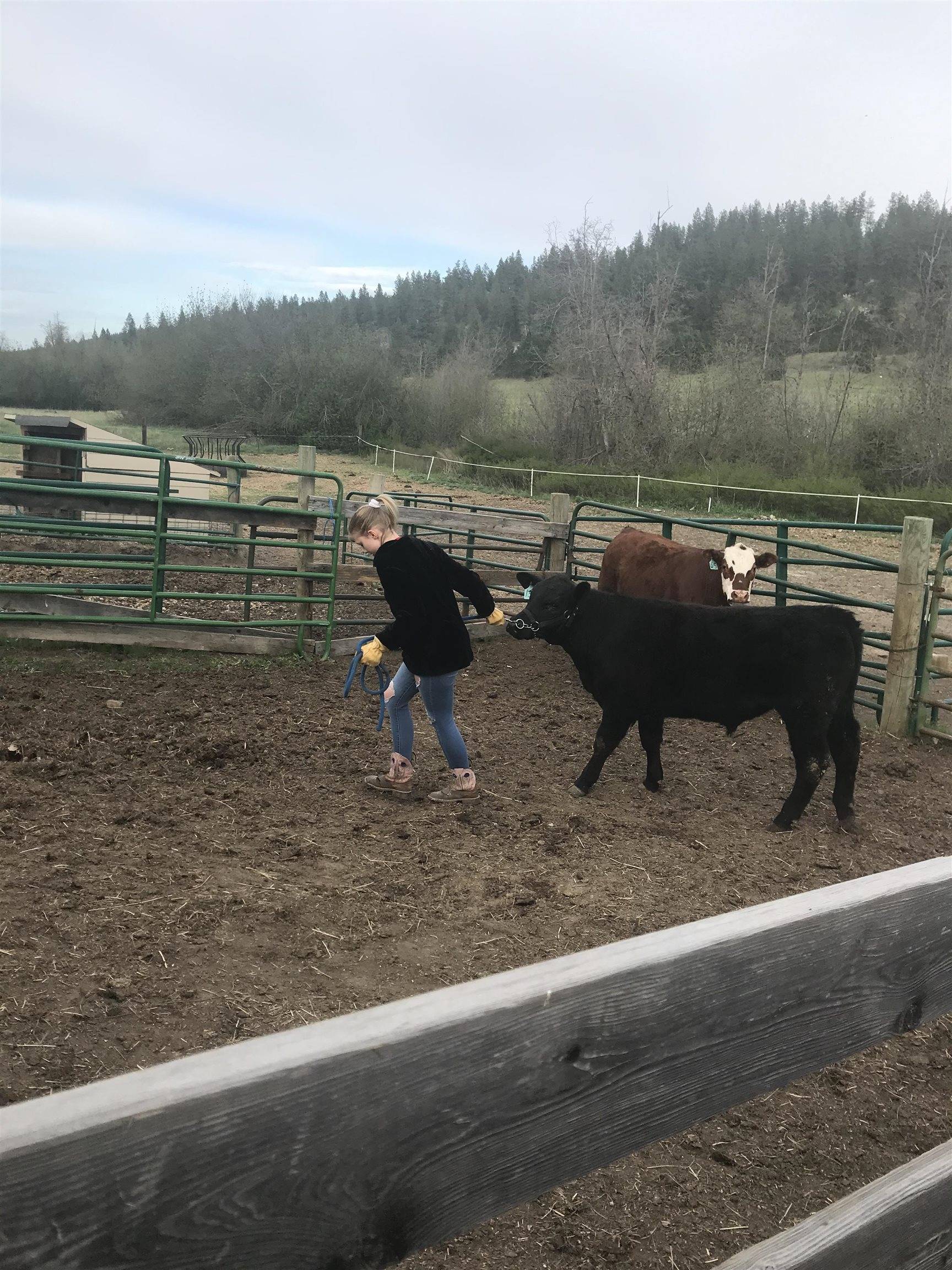 1424 N Idaho Rd, Liberty Lake, WA 99019