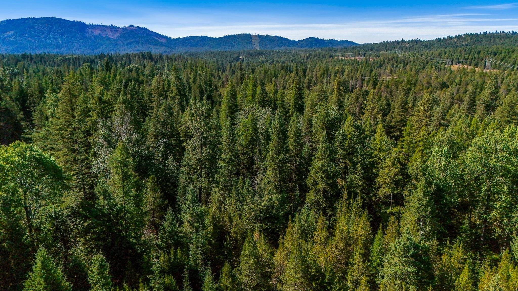 1770 Highway 211 Hwy, Newport, WA 99156