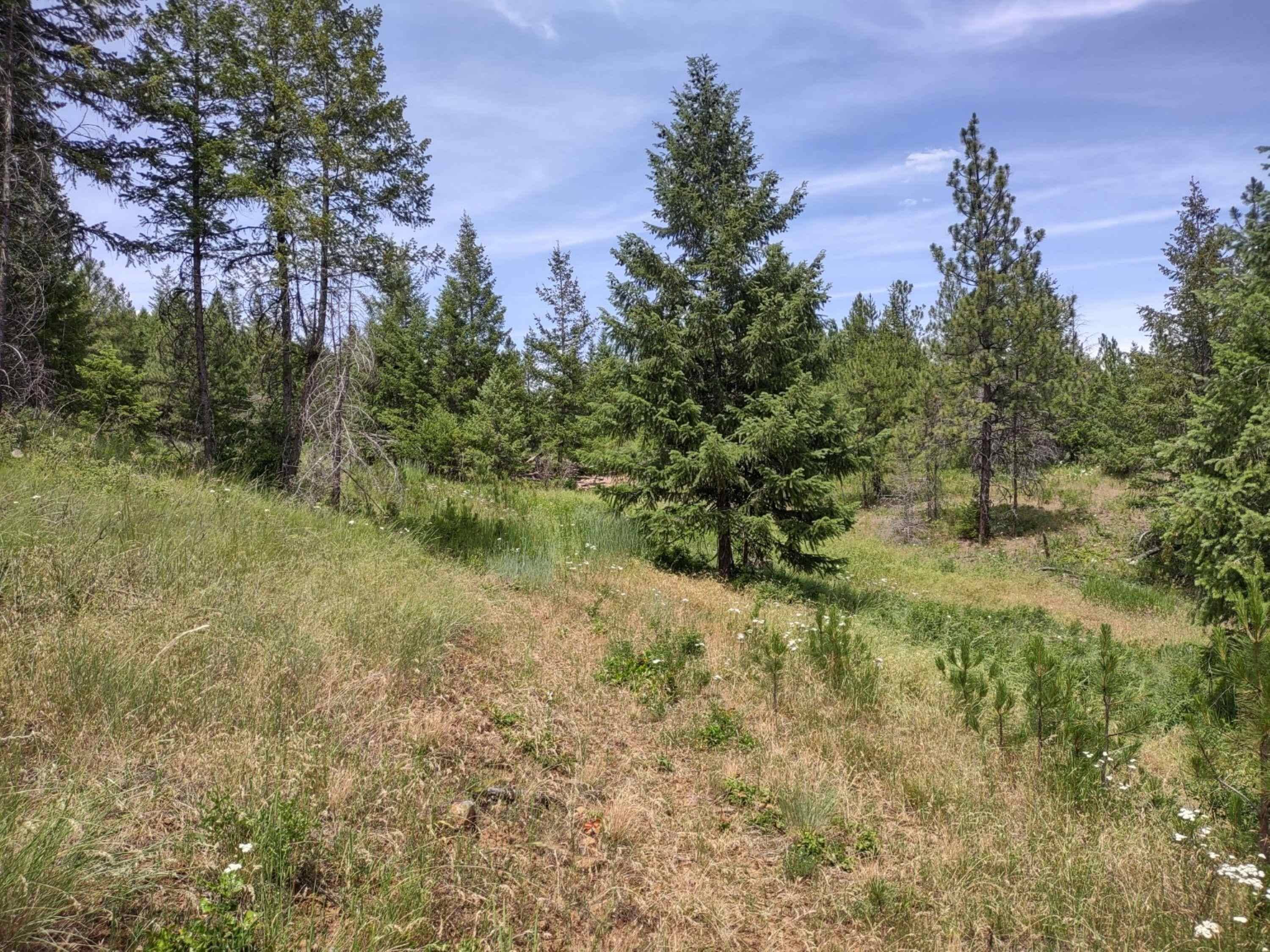 xx Springdale Hunters Hwy, Springdale, WA 99173
