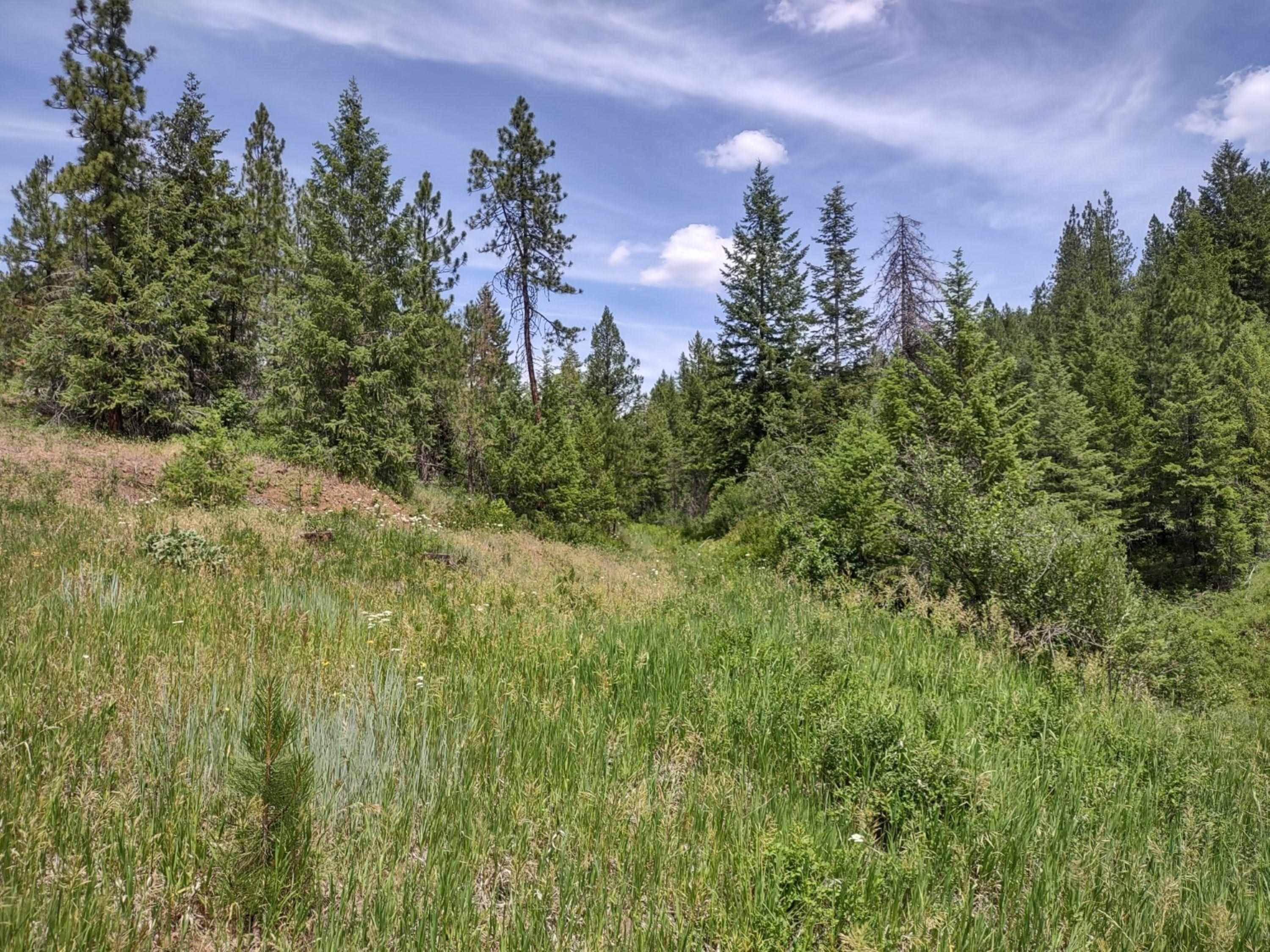 xx Springdale Hunters Hwy, Springdale, WA 99173