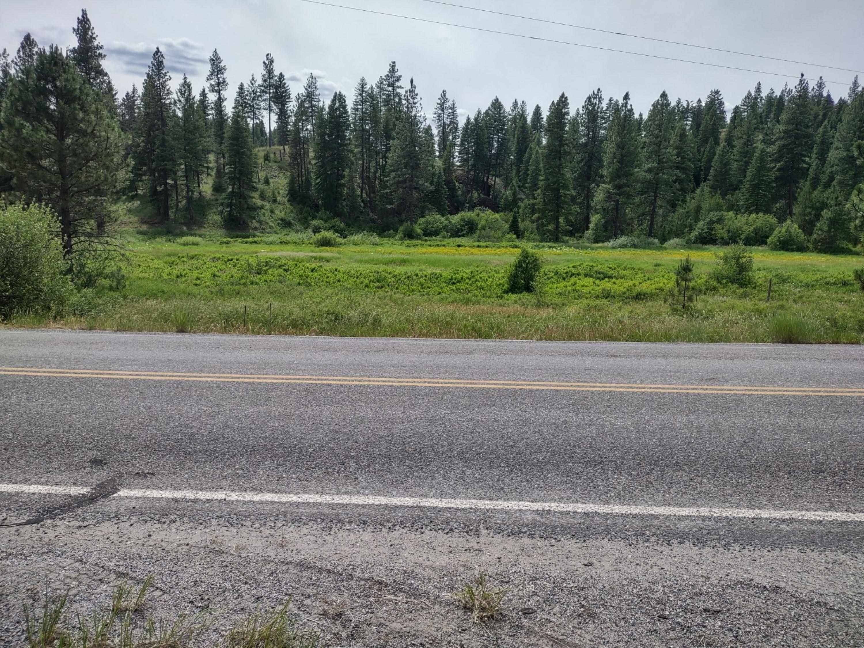 xx Springdale Hunters Hwy, Springdale, WA 99173