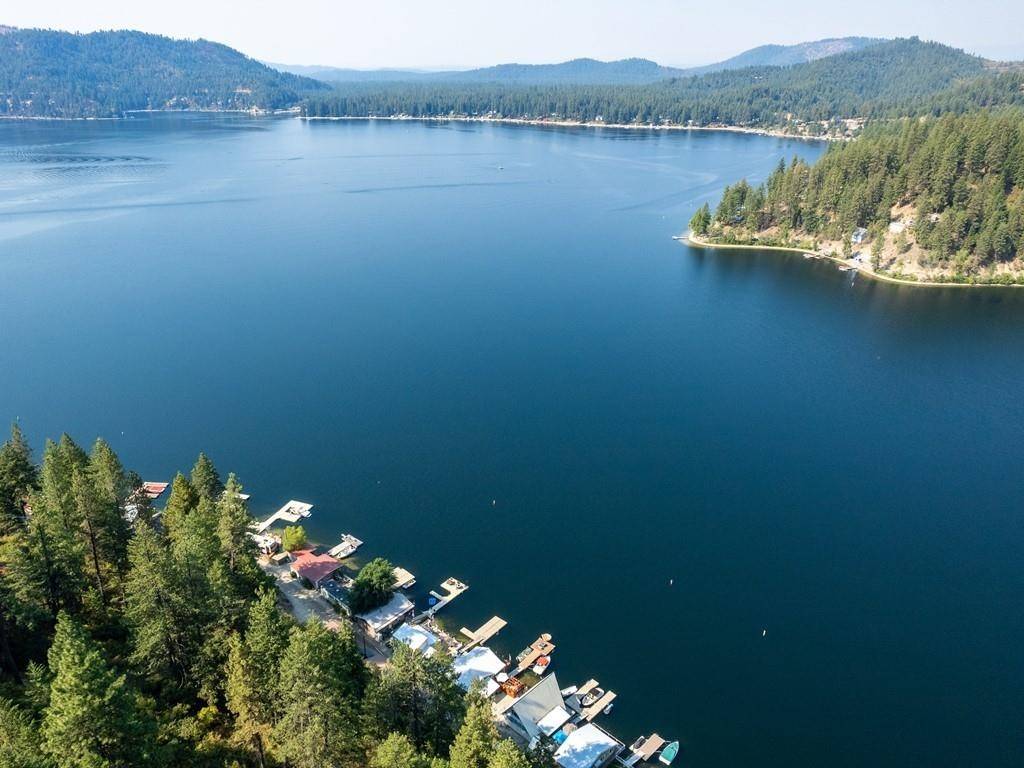 46999 E Deer Lake WAY, Loon Lake, WA 99148