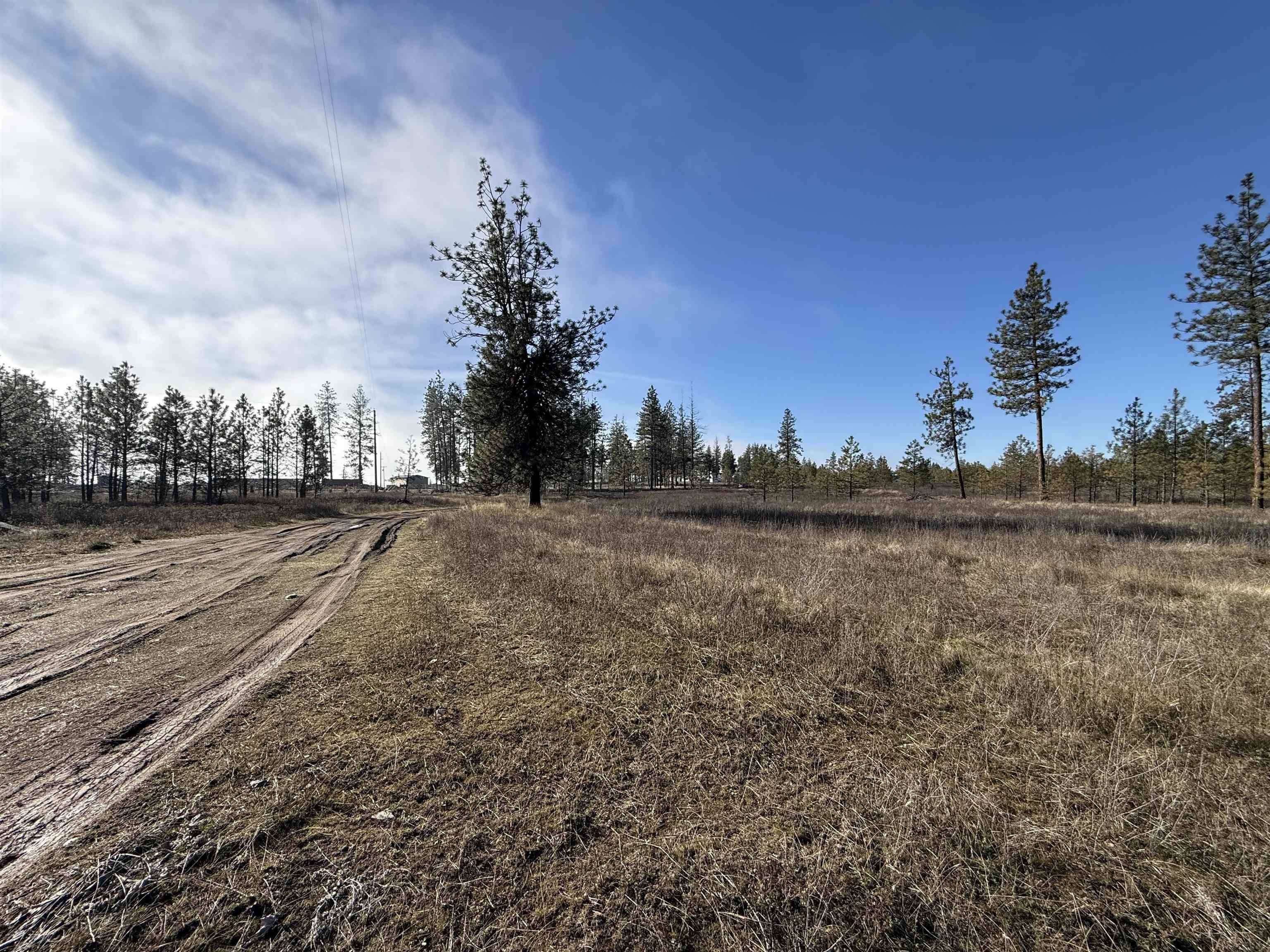 7552 Kimberly Drive WAY, Ford, WA 99013