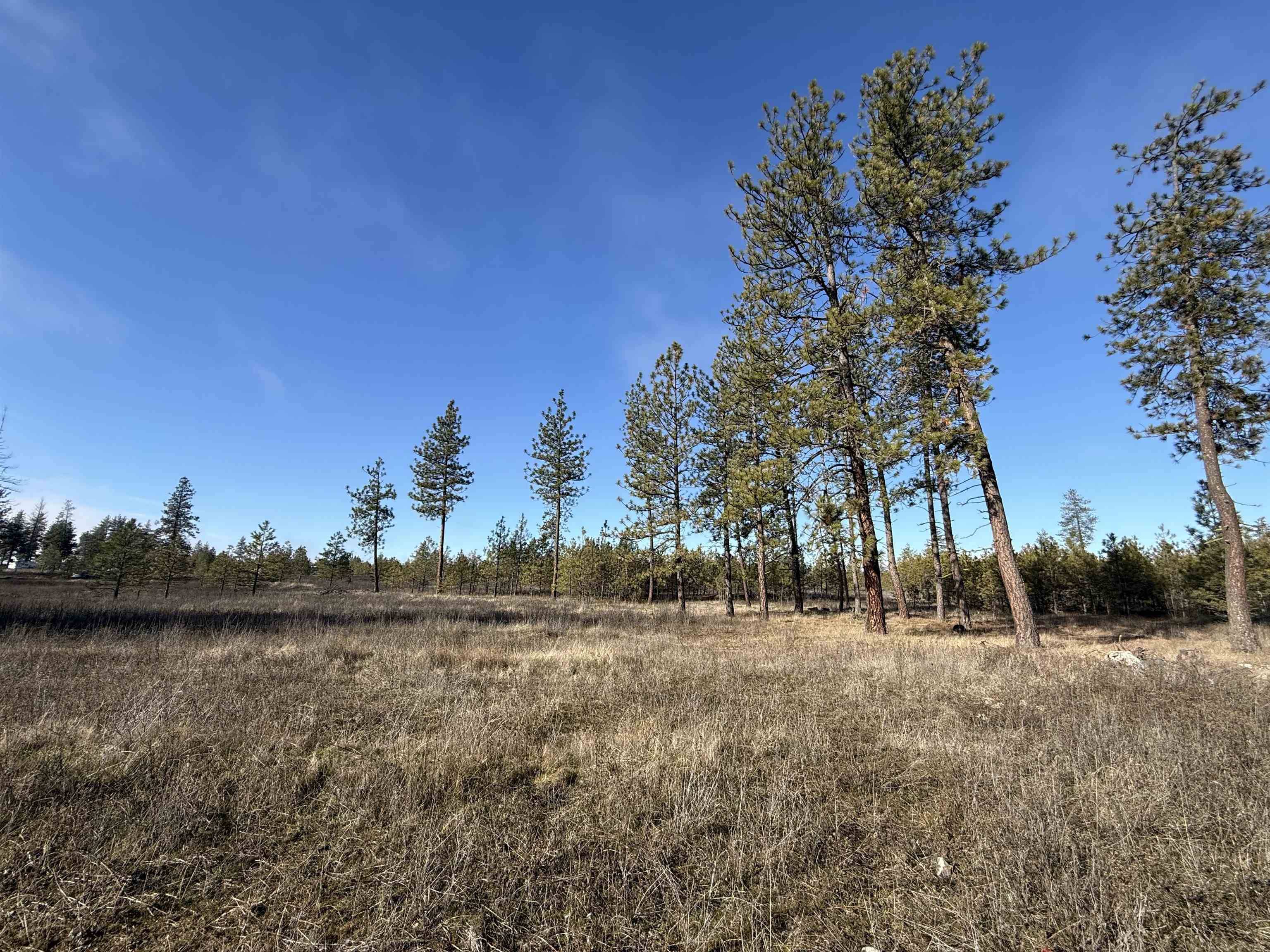 7552 Kimberly Drive WAY, Ford, WA 99013