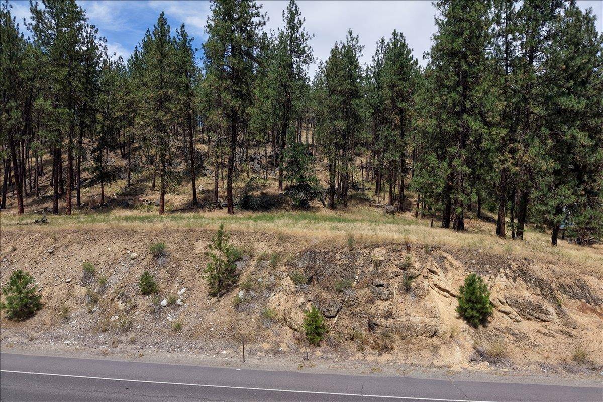 11XXX Nine Mile Rd, Nine Mile Falls, WA 99026
