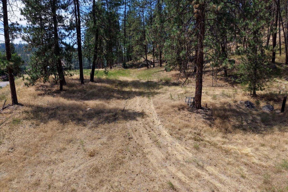 11XXX Nine Mile Rd, Nine Mile Falls, WA 99026