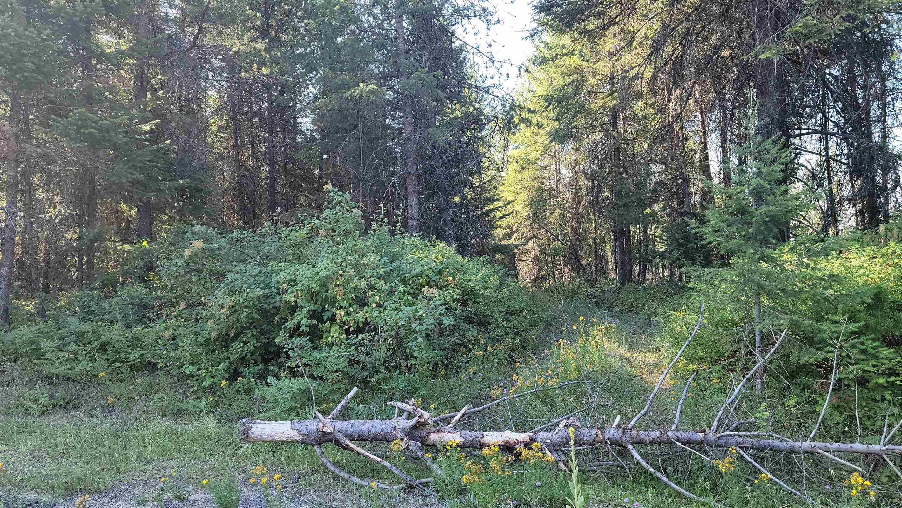 612 Overlook Dr, Newport, WA 99156