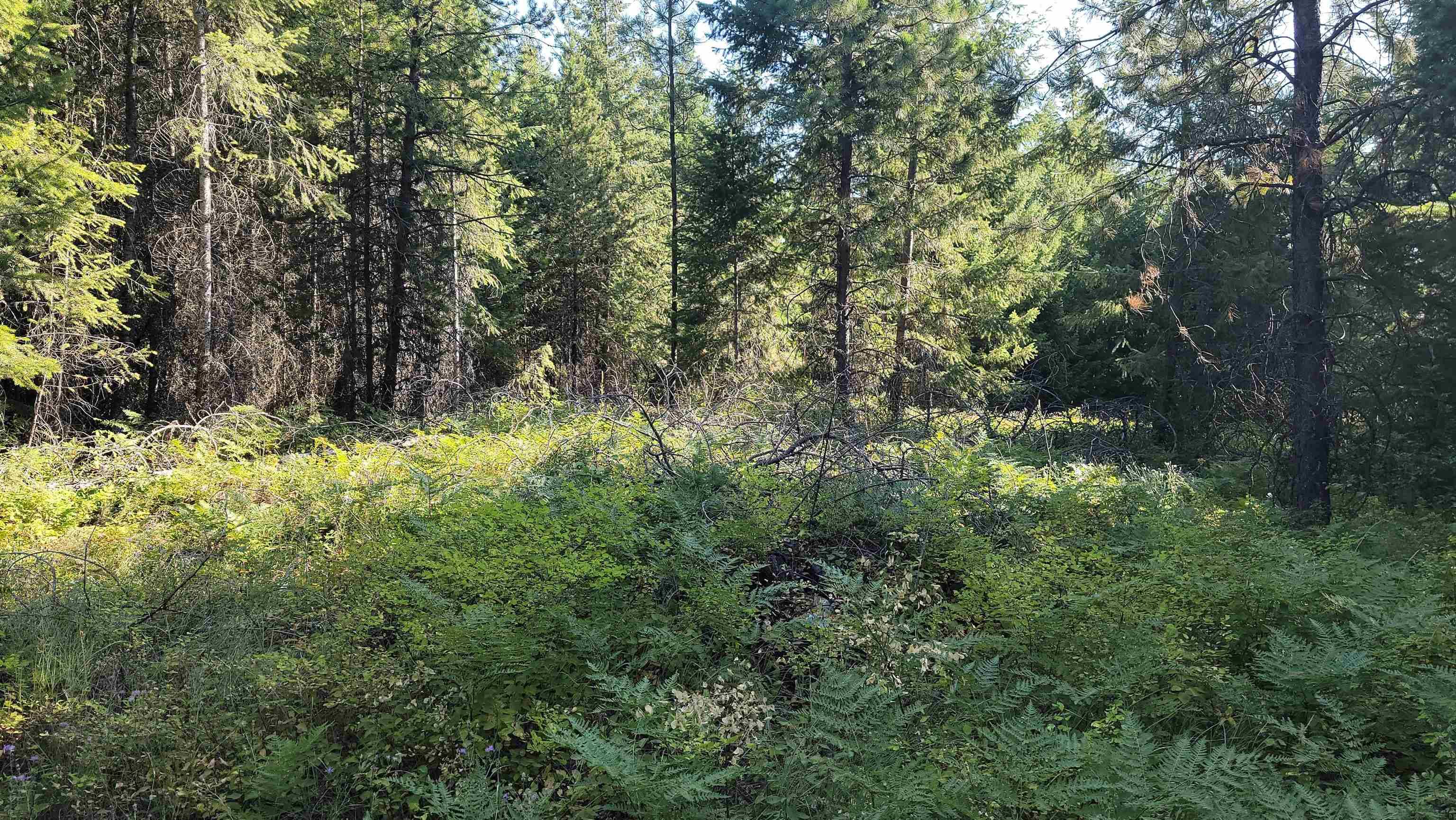 612 Overlook Dr, Newport, WA 99156
