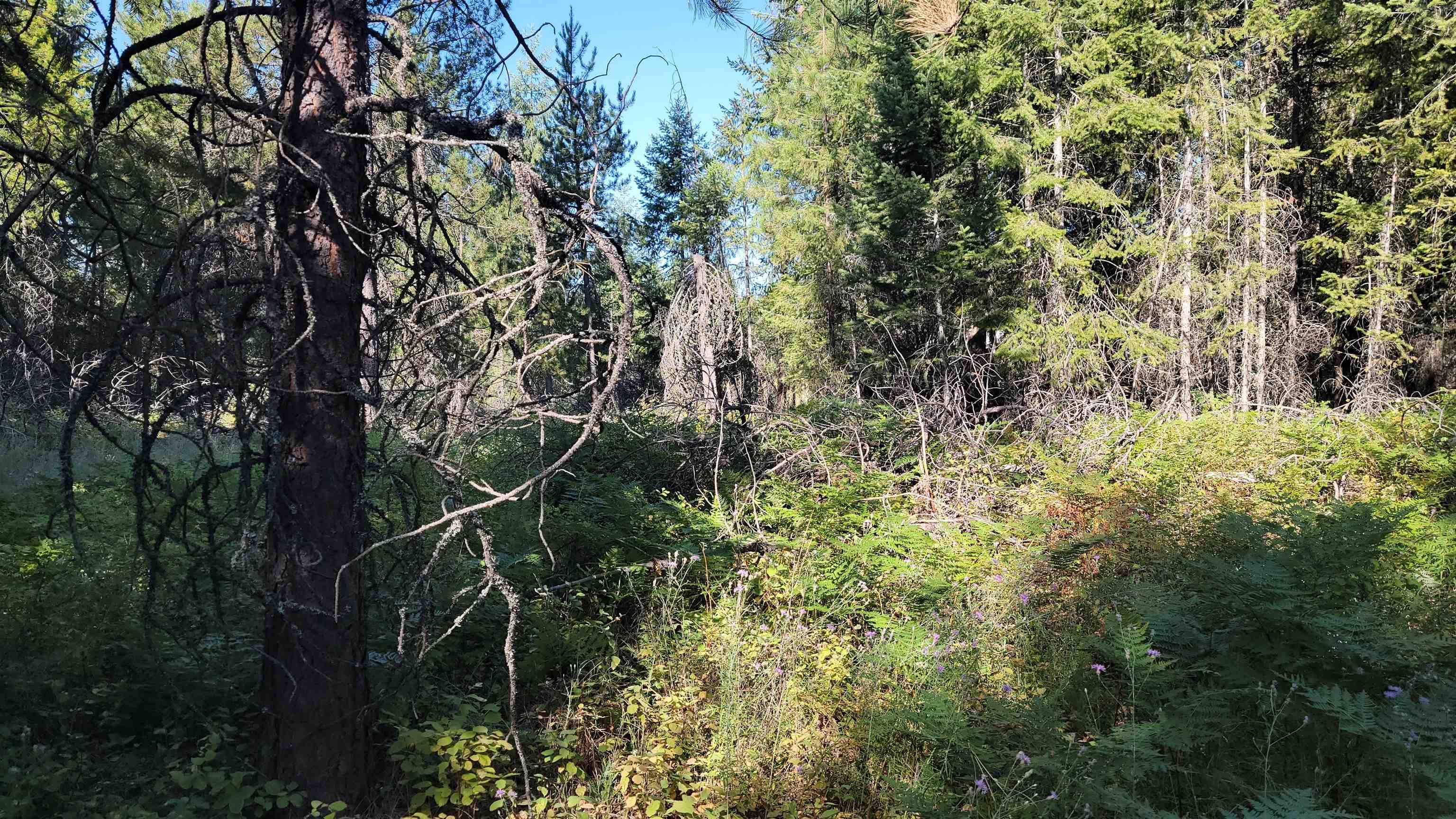 642 Overlook Dr, Newport, WA 99156
