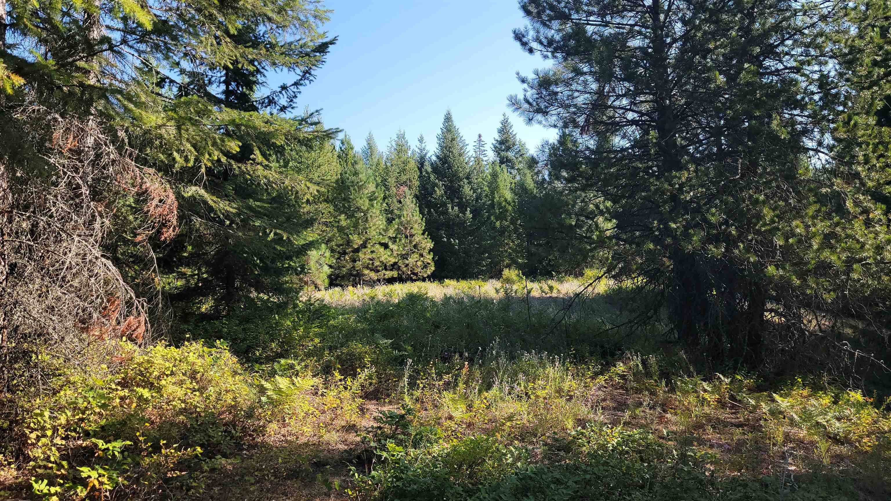 642 Overlook Dr, Newport, WA 99156