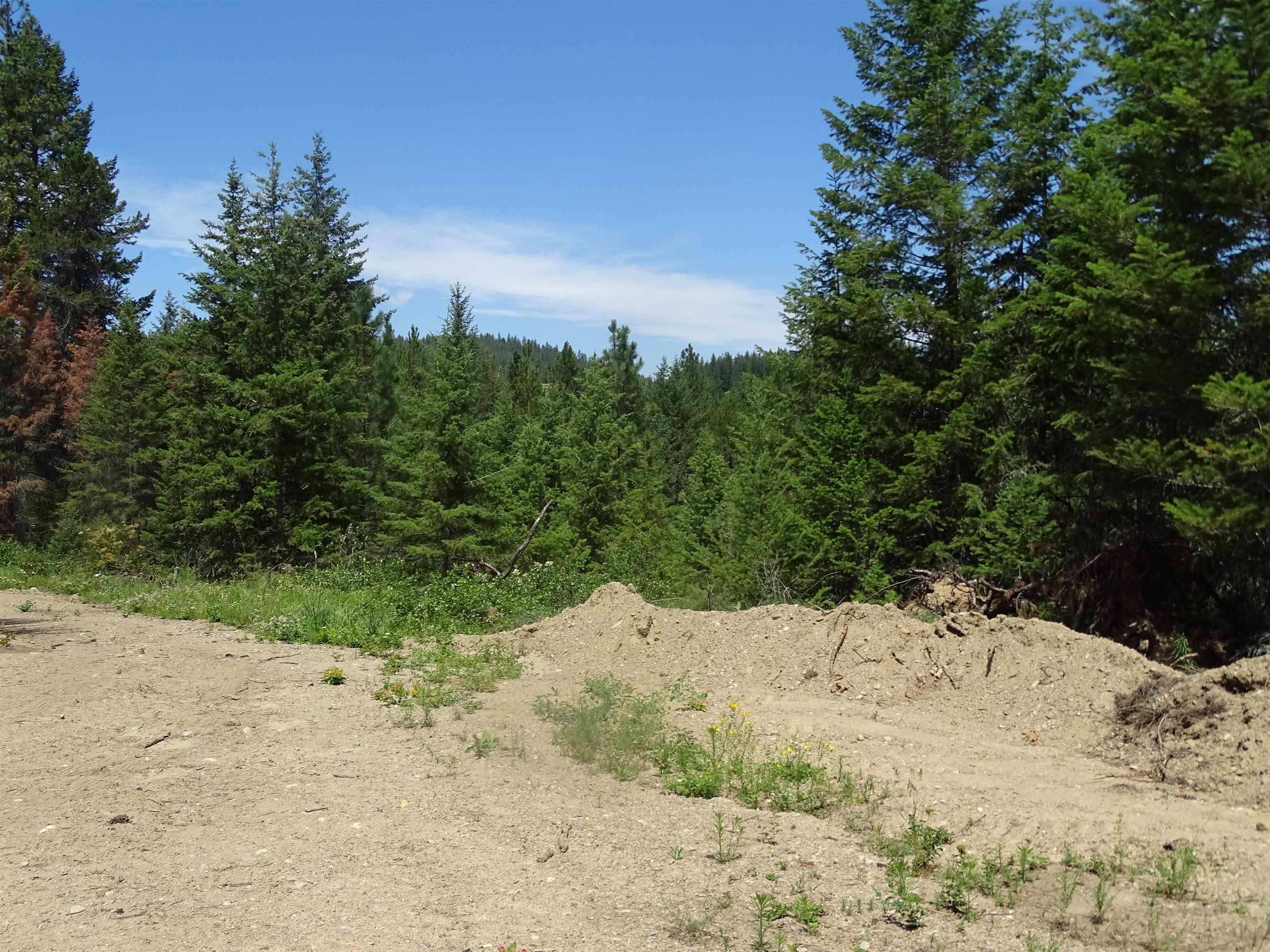 4482 Old E. Springdale Rd, Loon Lake, WA 99148-5141
