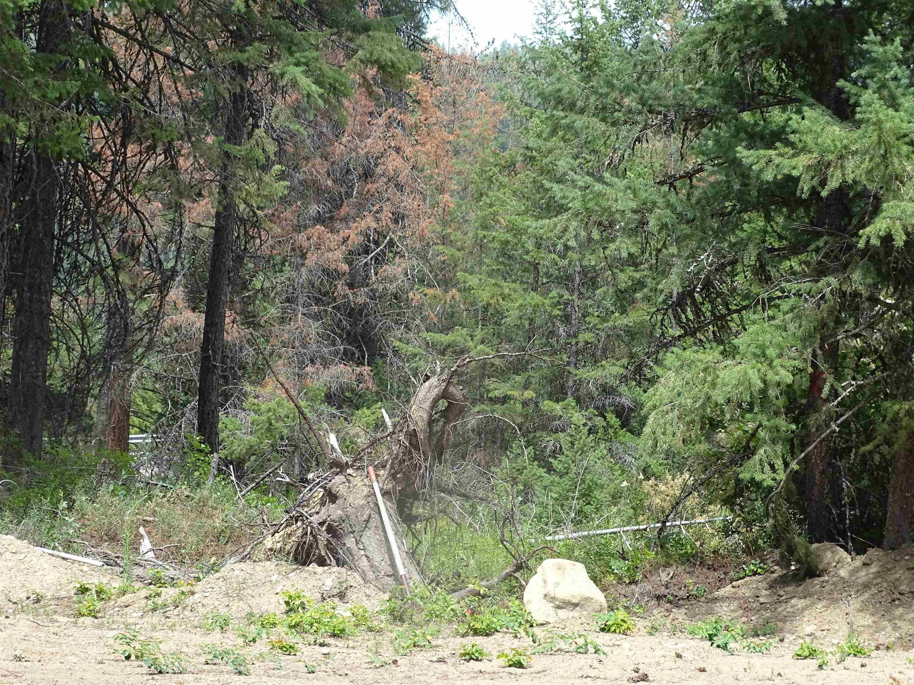 4482 Old E. Springdale Rd, Loon Lake, WA 99148-5141